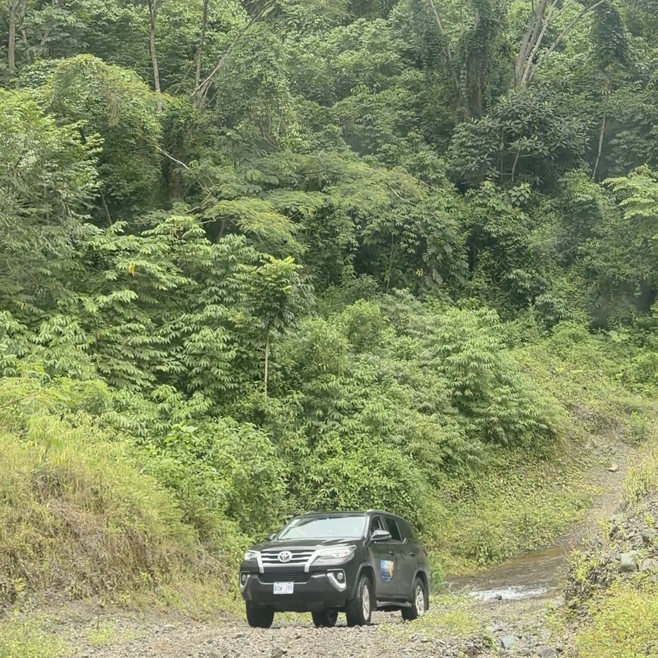 210-Hectare Farm for Sale in Tulín, Puriscal | 519 acres