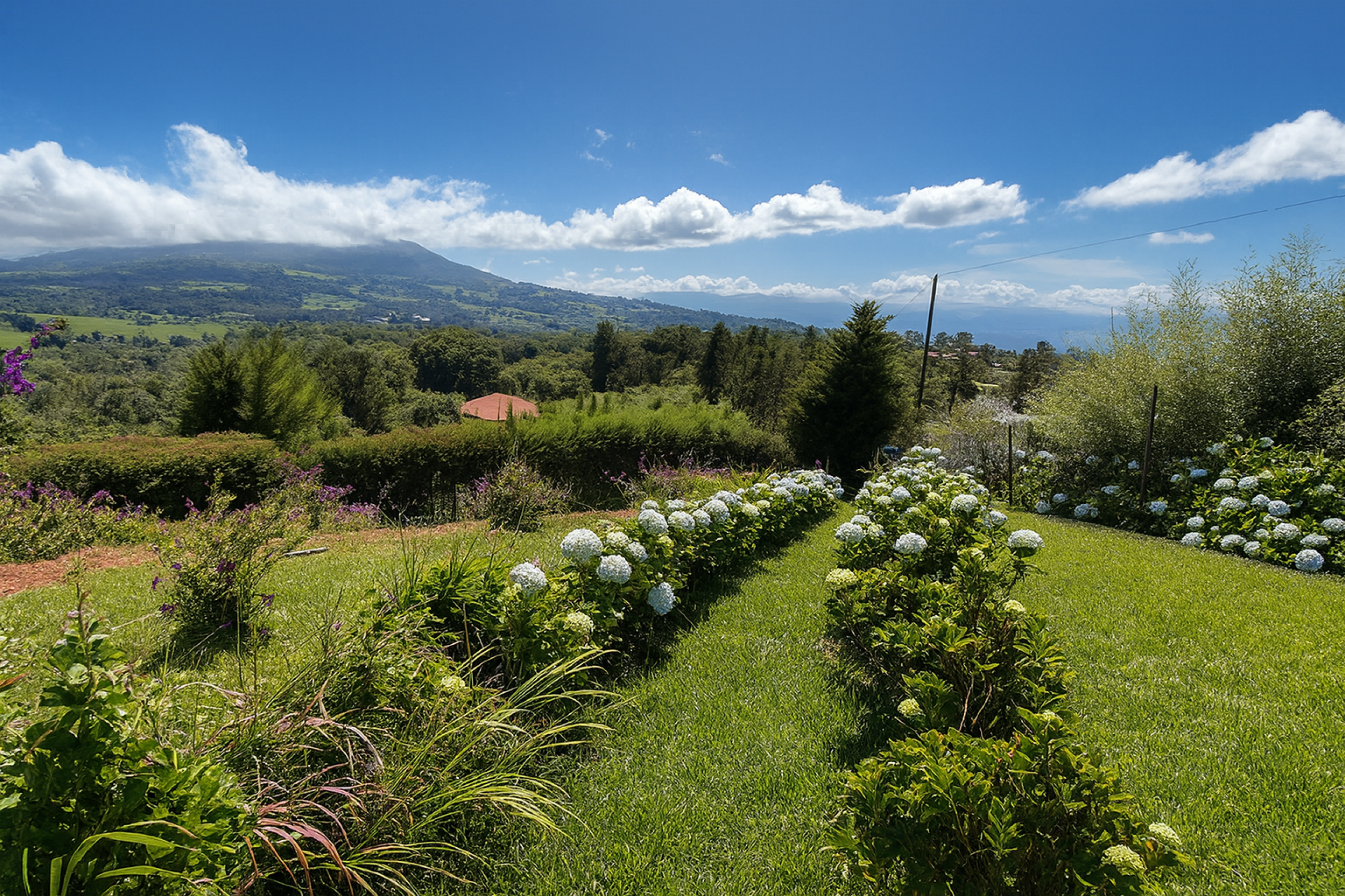 Serenity and Views: Enchanting Cottage in Poasito, Alajuela, Surrounded by Nature's Beauty