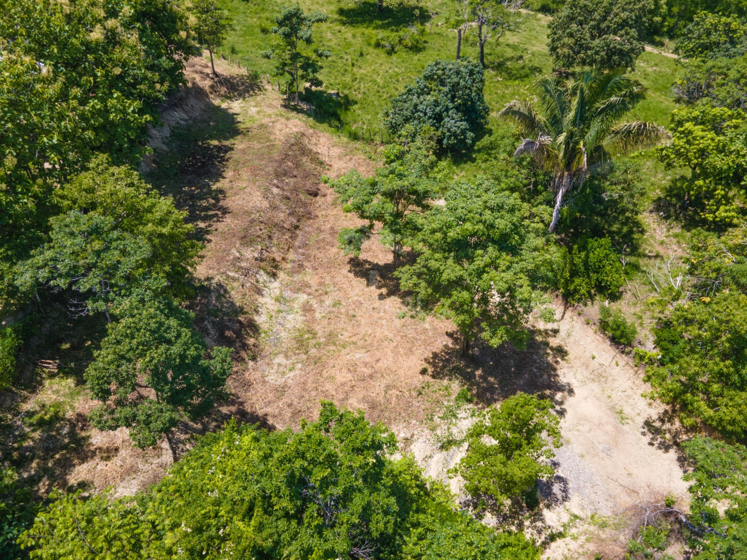 Lot with Registered Well and 3 Buildable Platforms – Minutes from Santa Teresa