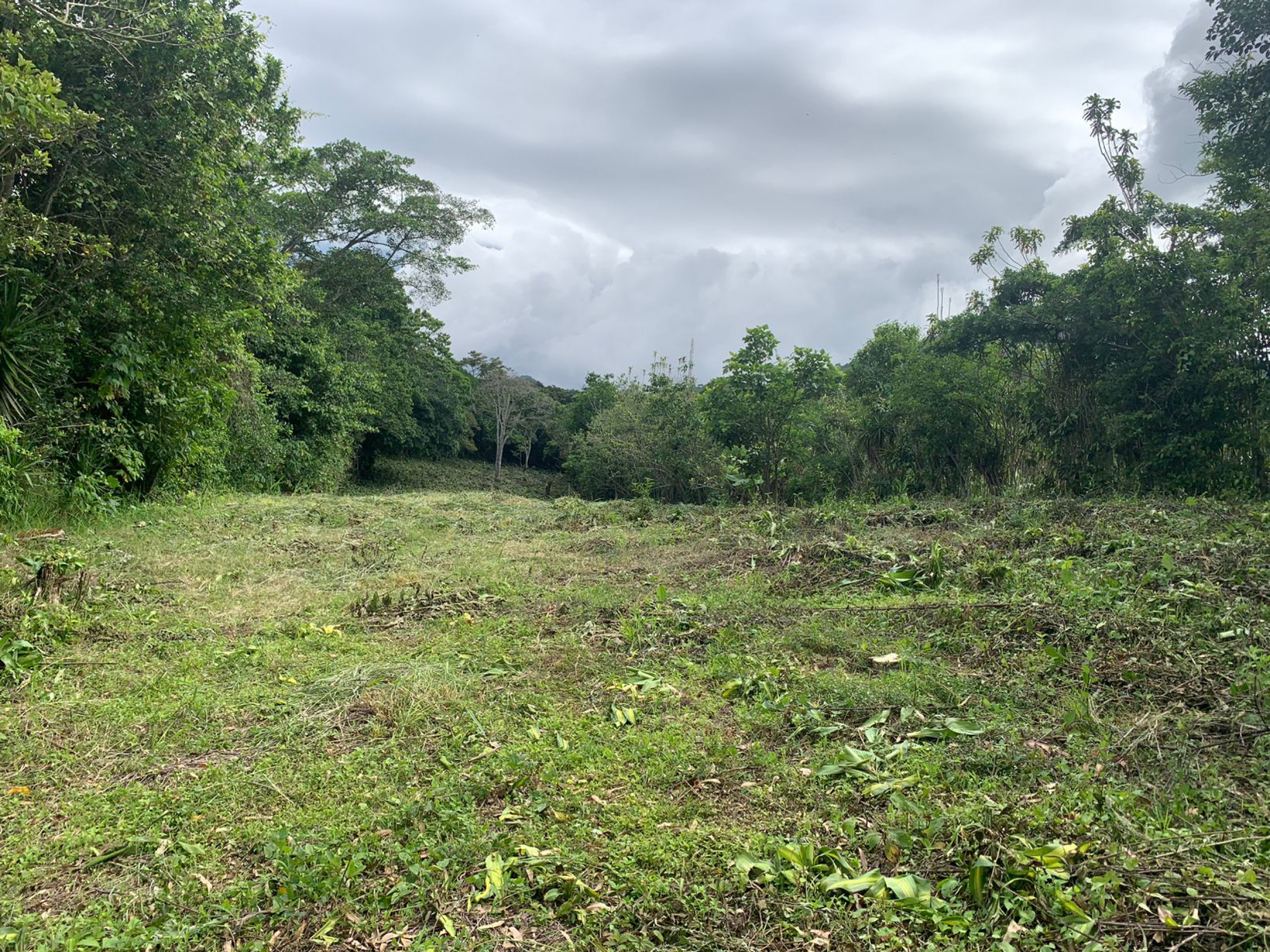 Multi-Use Land in Palmares: Ideal for Investment!