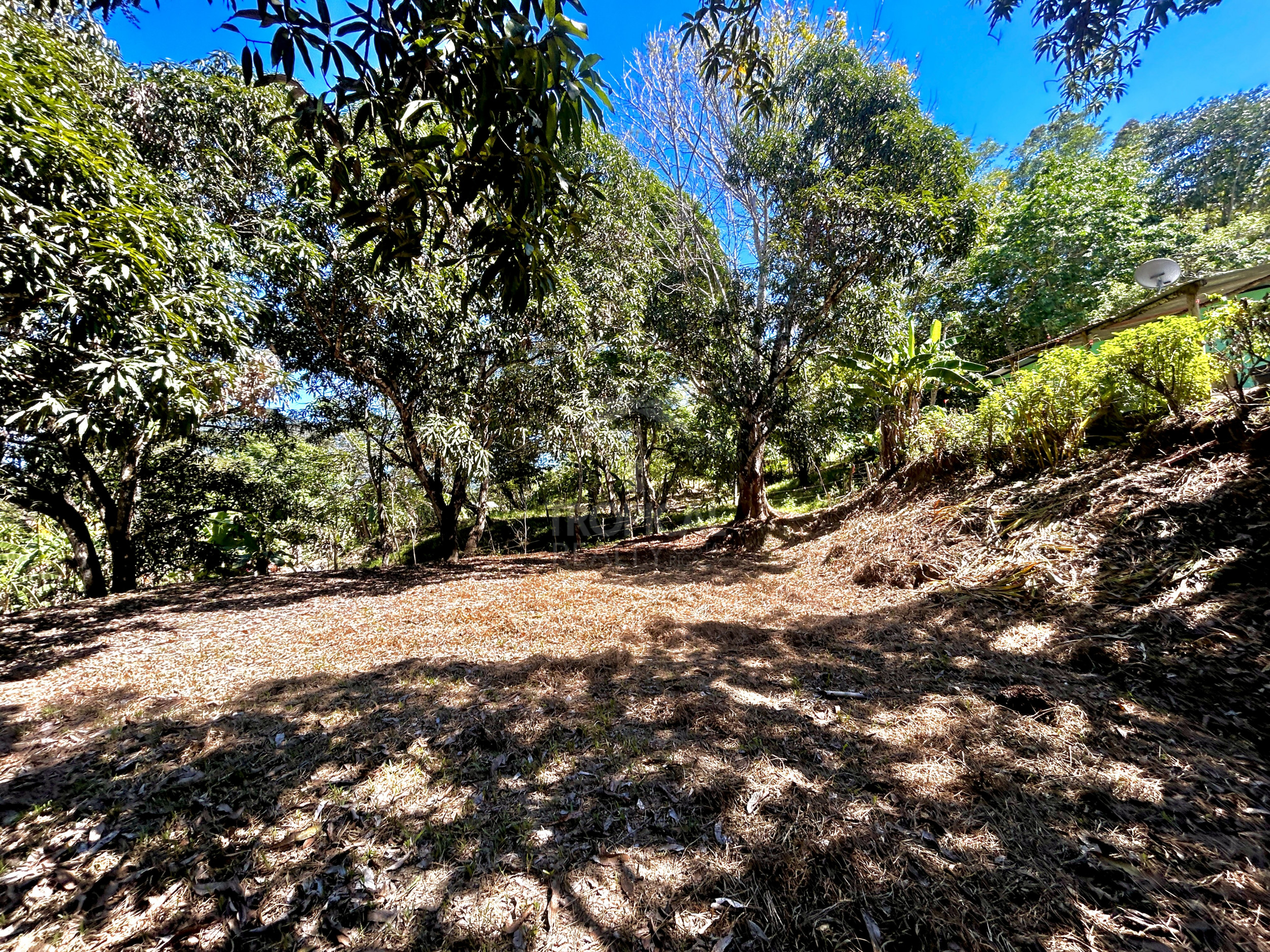 Commercial Mixed-Use Lot for Sale – Prime Location near Manzanillo Beach