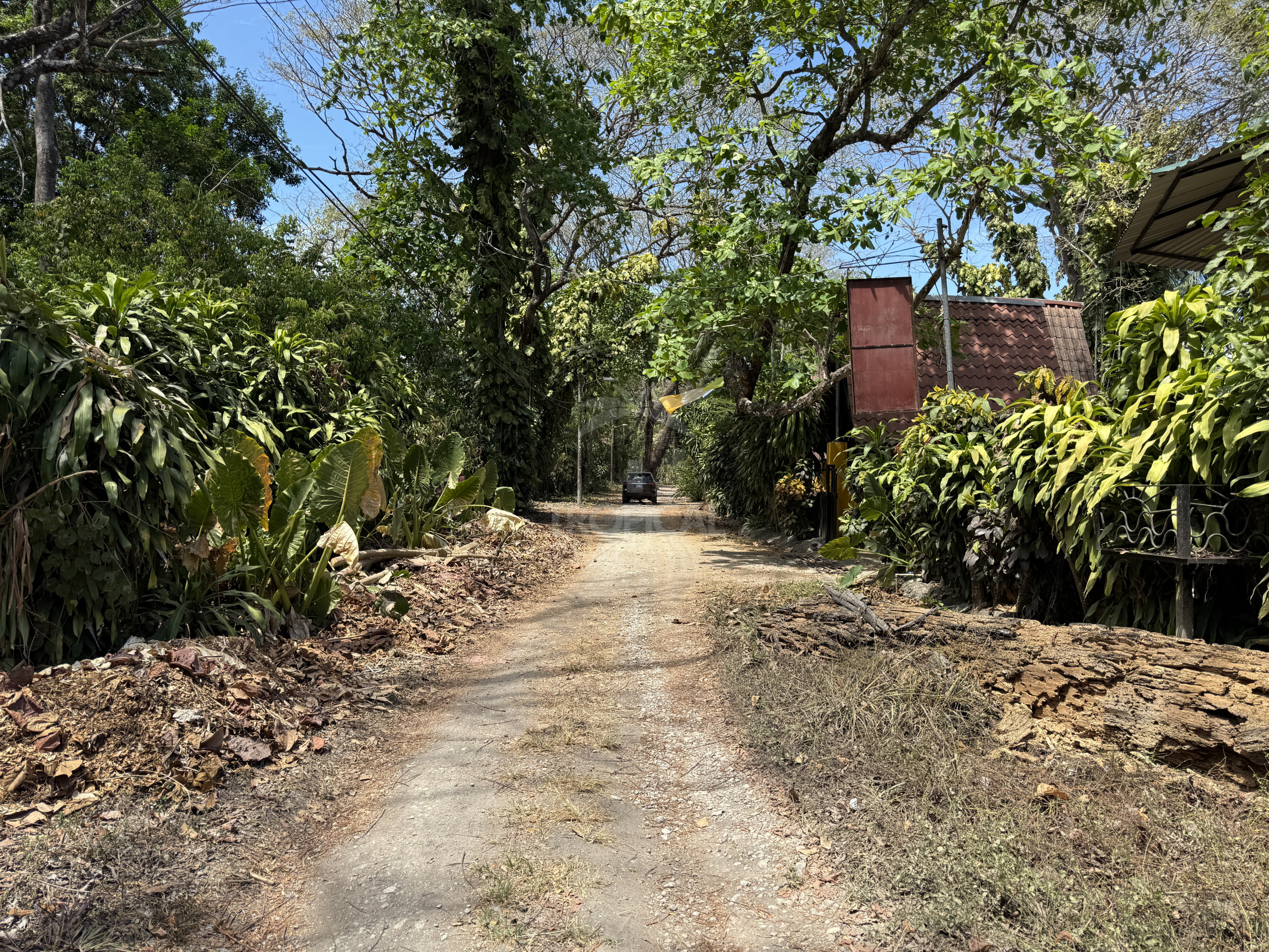 Beachfront Land for Sale, Cabuya | Concessioned Lot Nicoya Peninsula
