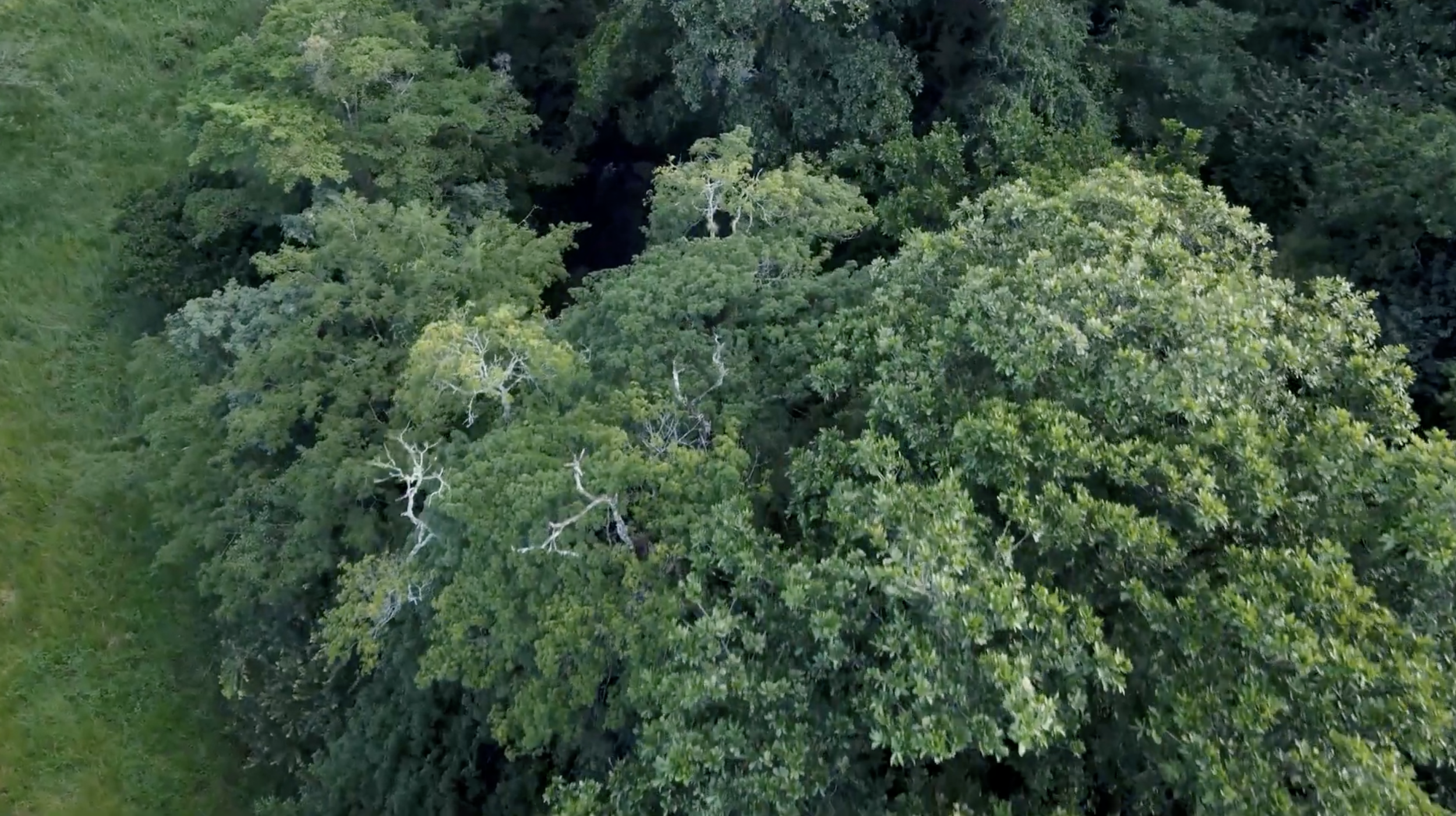 4.5-Hectare (11.27-Acre) Land for Sale in Curime, Nicoya | Rivers, Main Road Frontage & Blue Zone Living