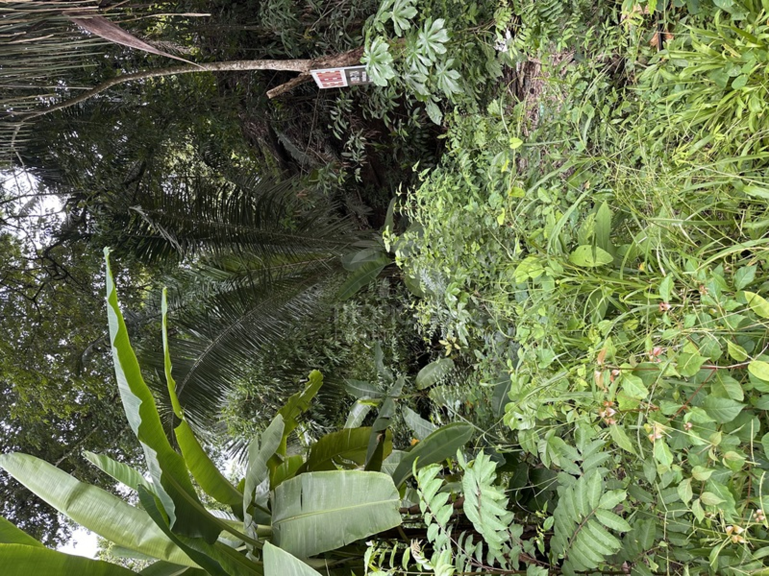 Commercial & Tourism Development Lot for Sale in Manzanillo, Costa Rica – Prime Location Near the Beach