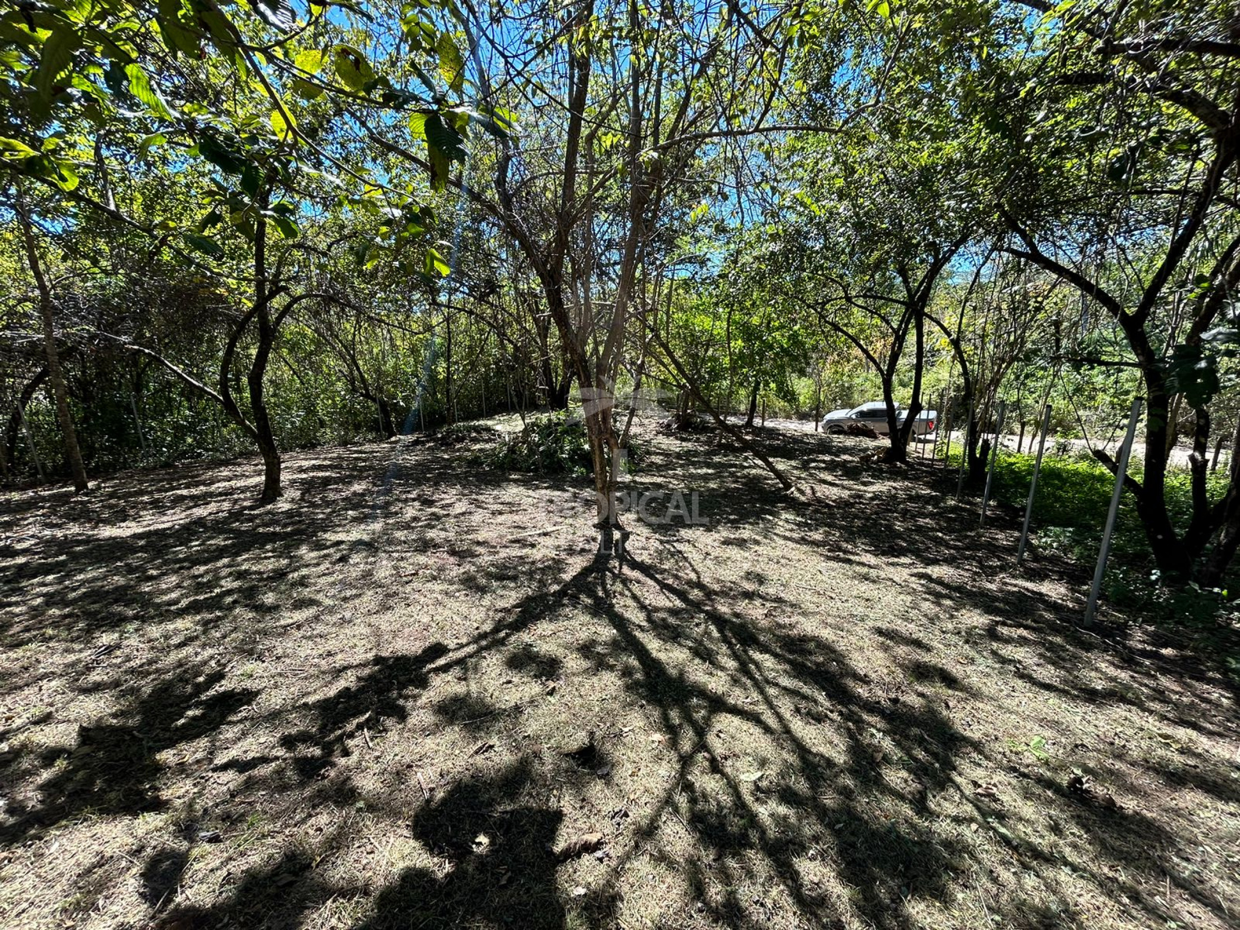 1000m² Lot for Sale in Las Delicias de Cobano: Your Coastal Oasis in Costa Rica.
