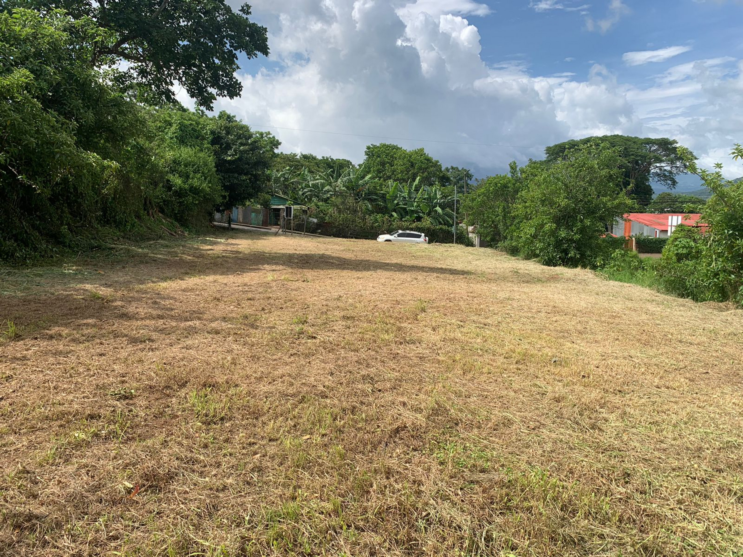 Multi-Use Land in Palmares: Ideal for Investment!