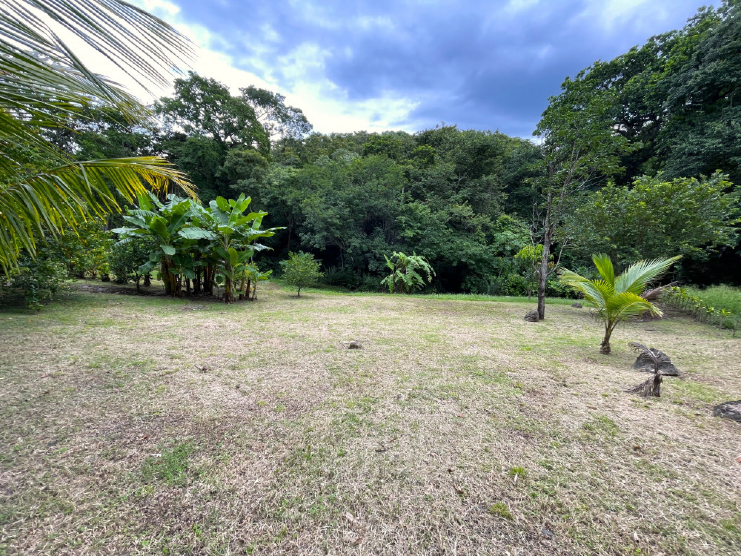 Dreamy Natural Retreat with Private River and Fruit Trees – Turrúcares, Costa Rica