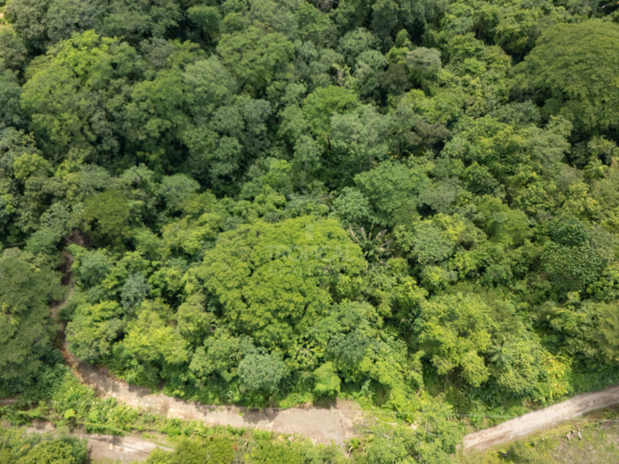 Strategic Commercial Lot in Cabuya – High Visibility and Outstanding Development Potential