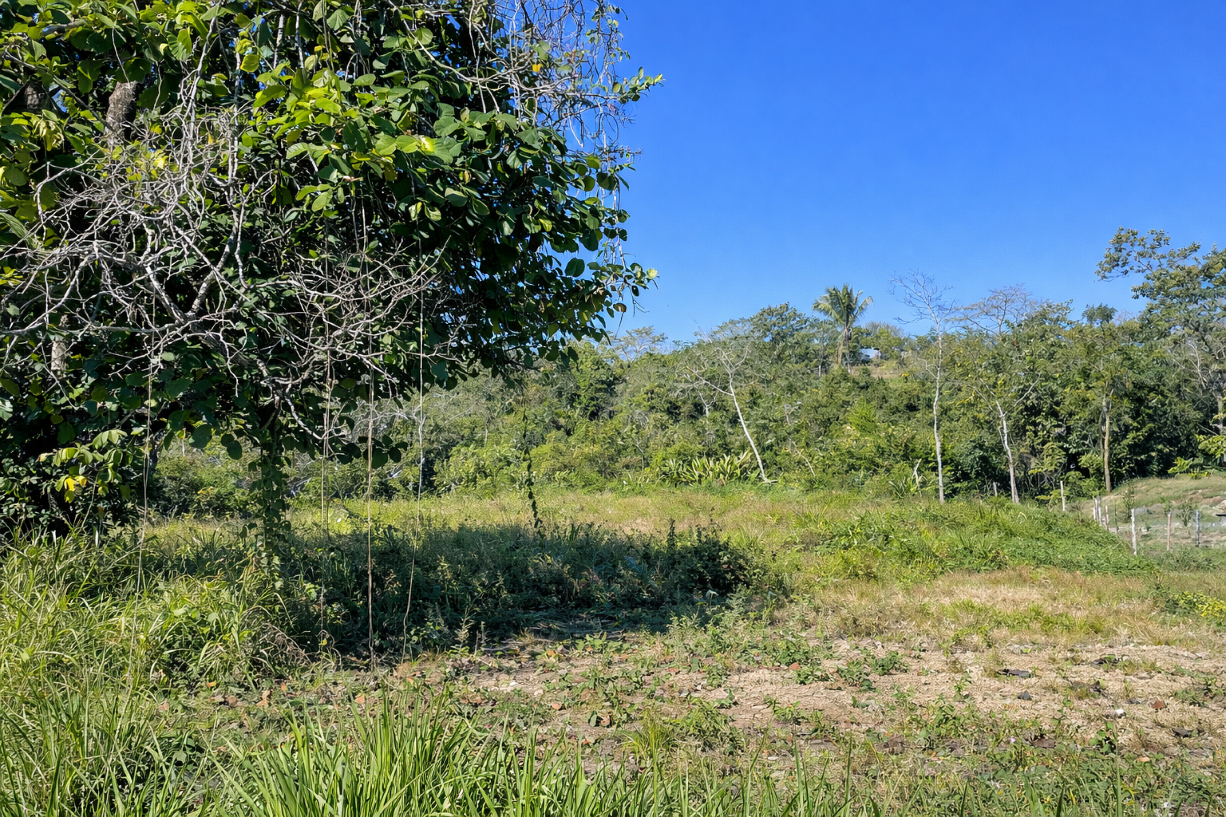 Ocean View Lot in San Isidro above Malpaís