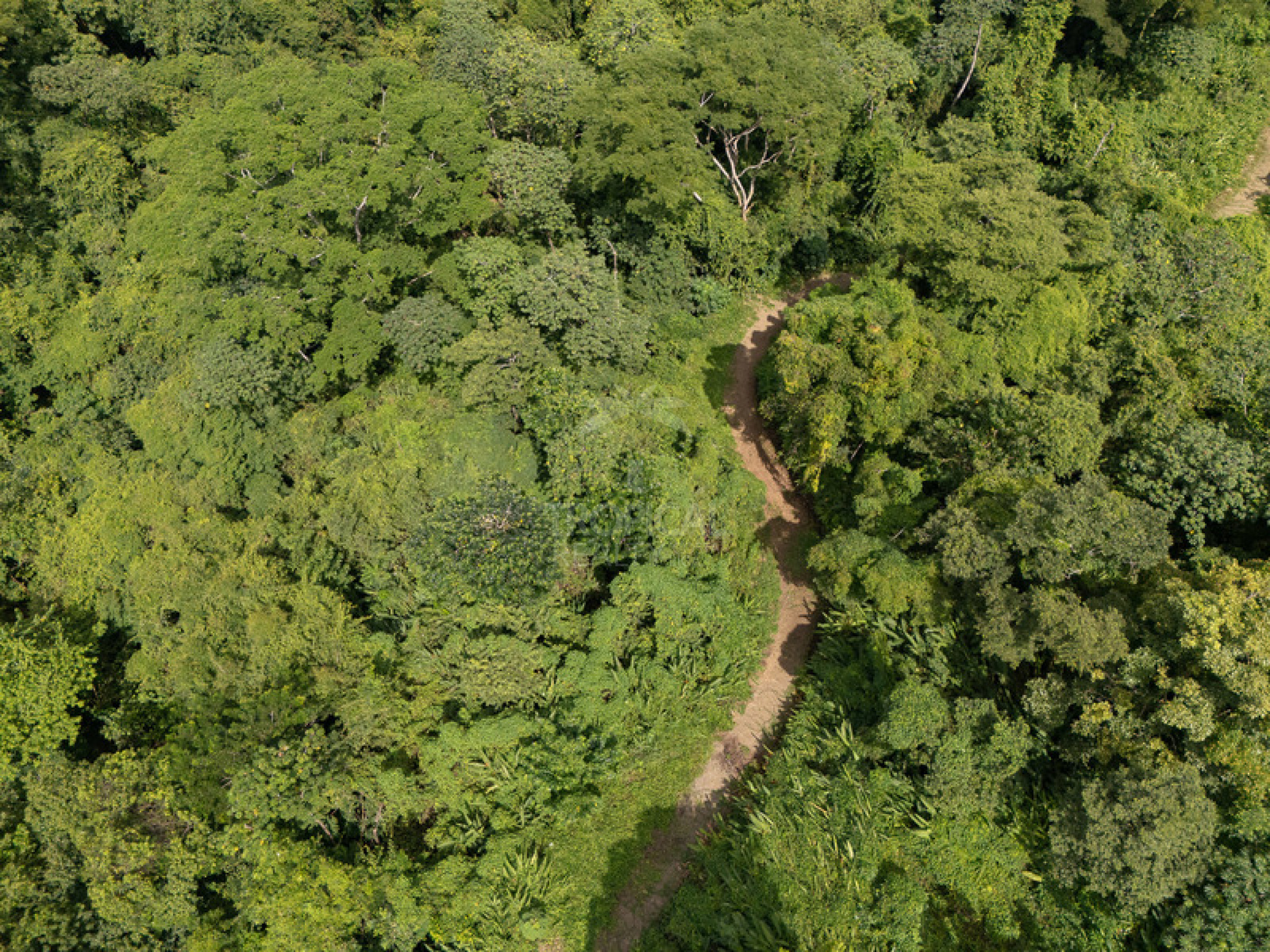 Premium Ocean View Development Estate in Cabuya – 58.6 Hectares with Infrastructure and Exceptional Potential