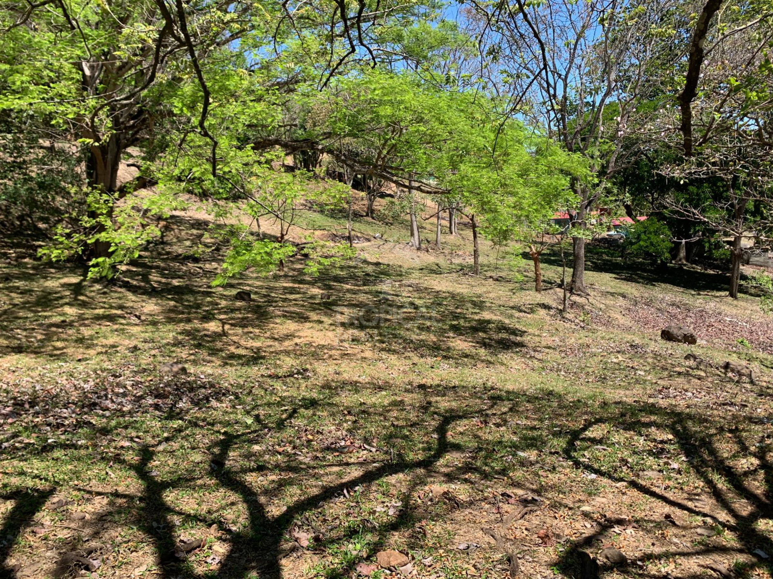 Farm for Sale in Turrúcares – Riverfront with Pools & Ecotourism Potential