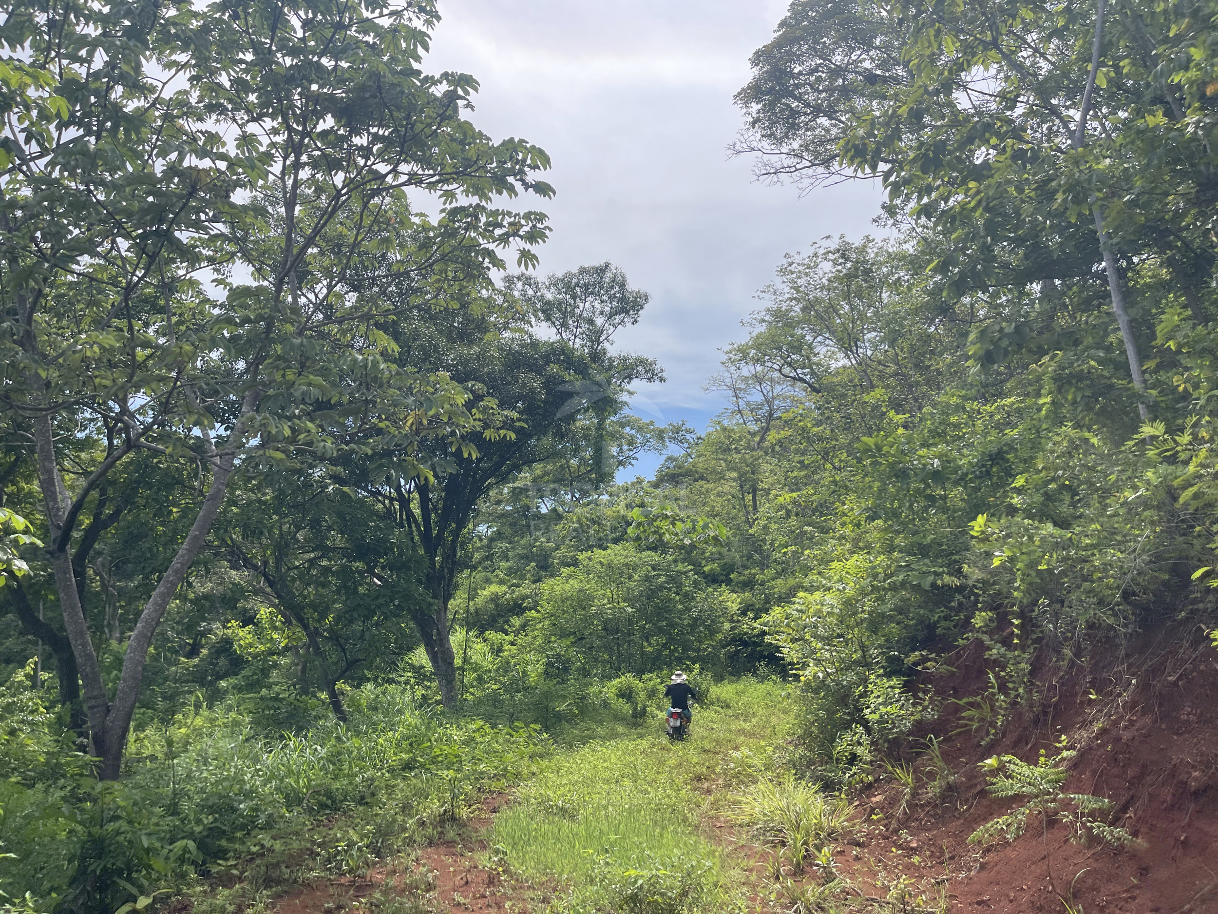 Nuevo Colon 1,24 acres - 5000m2 Estate with Panoramic Ocean Views in Guanacaste