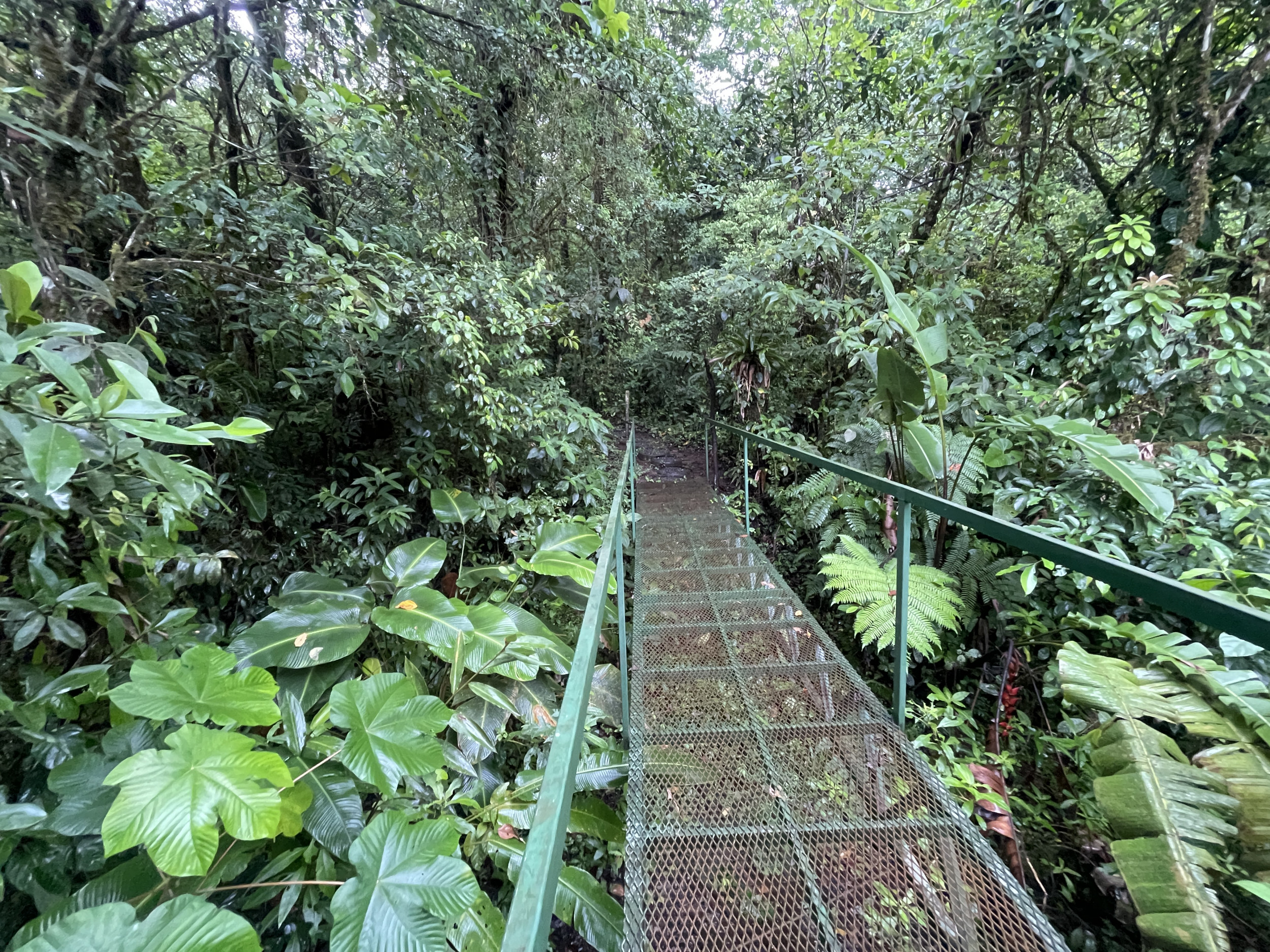 65-Acre Lakeview Property in Nuevo Arenal, Ideal for Family Residential Development