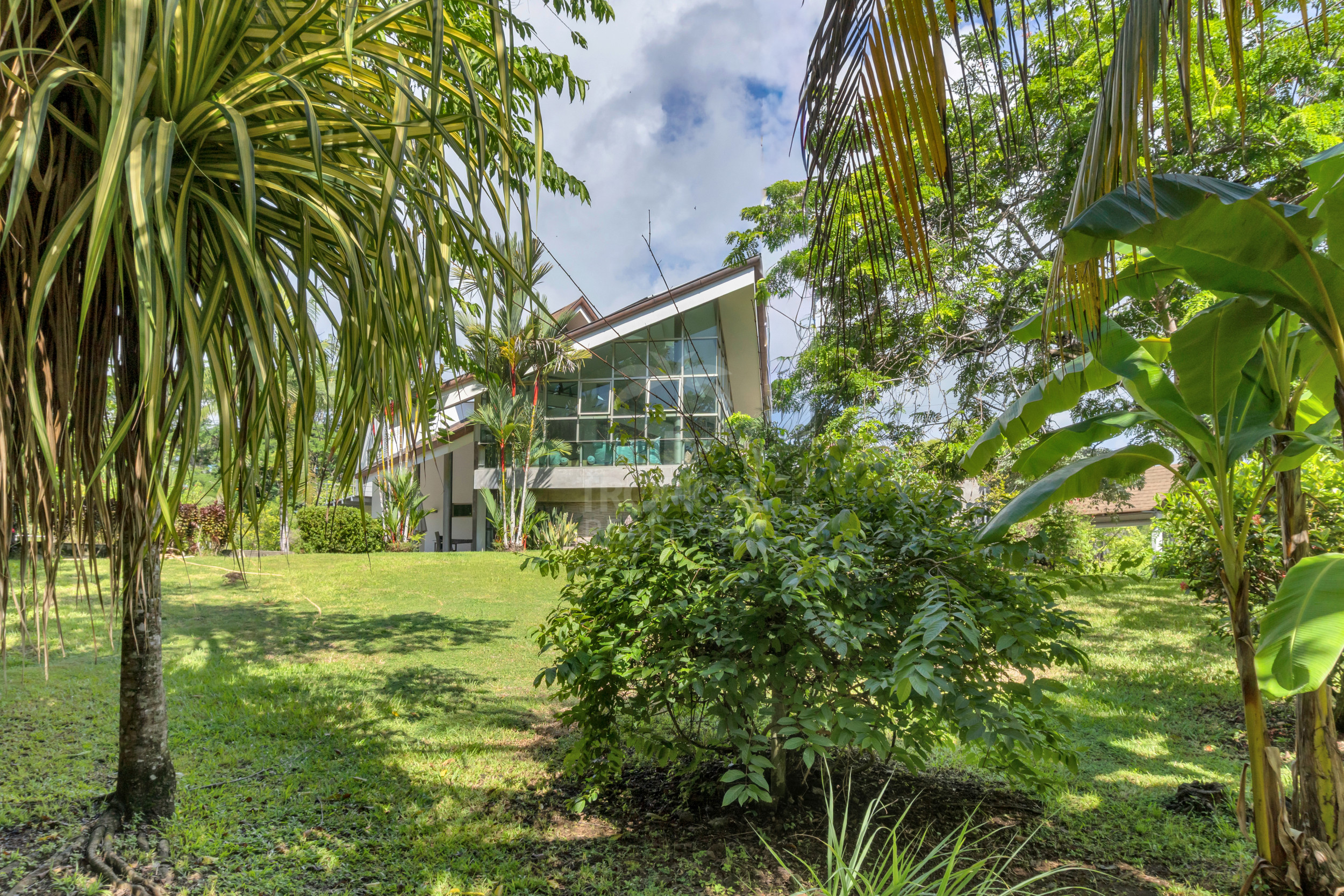 Modern Jungle Villa in Las Delicias – Santa Teresa