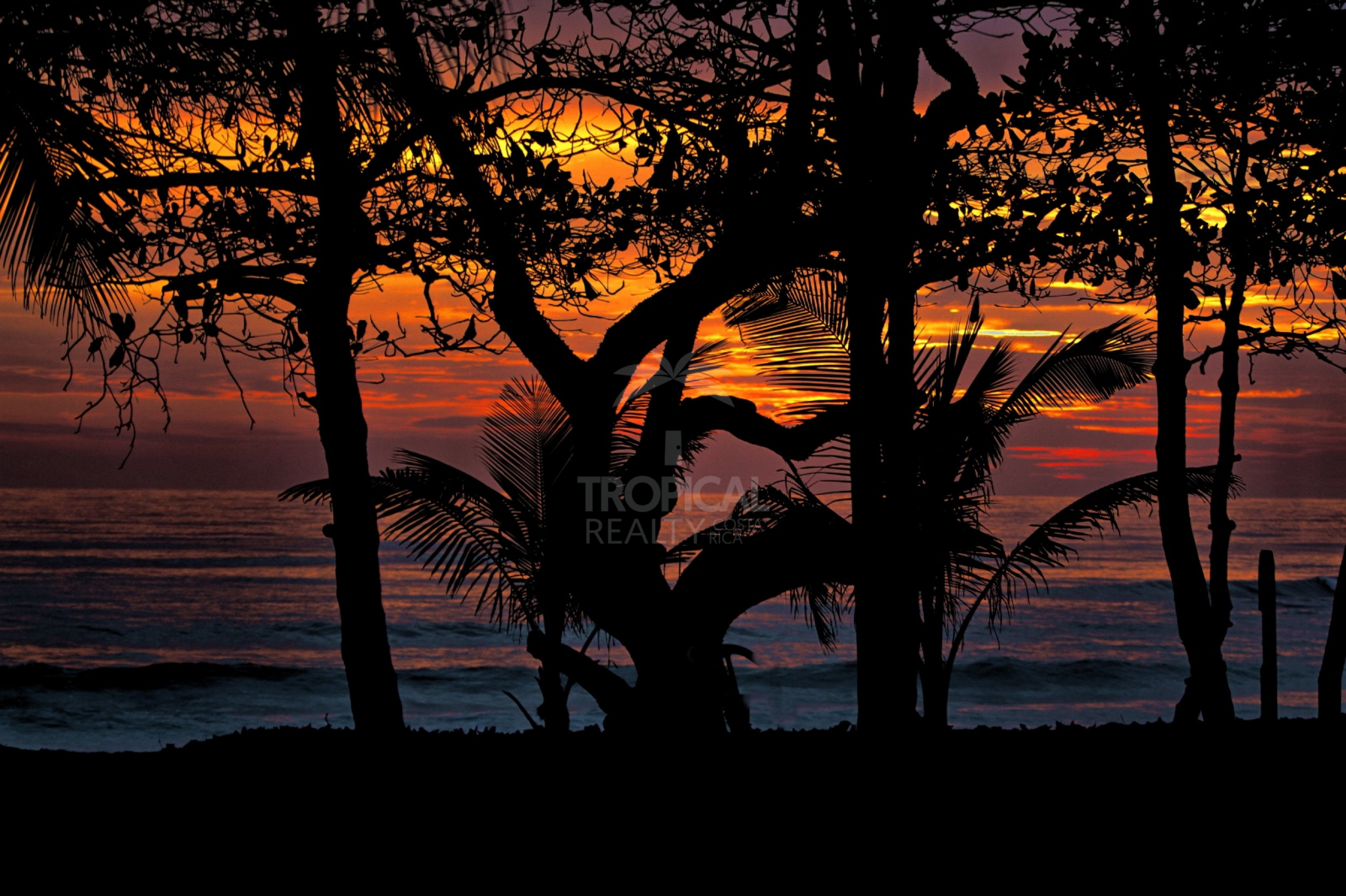 Oceanfront Villa for Rent in Santa Teresa – 2 Bedrooms with Private Terrace