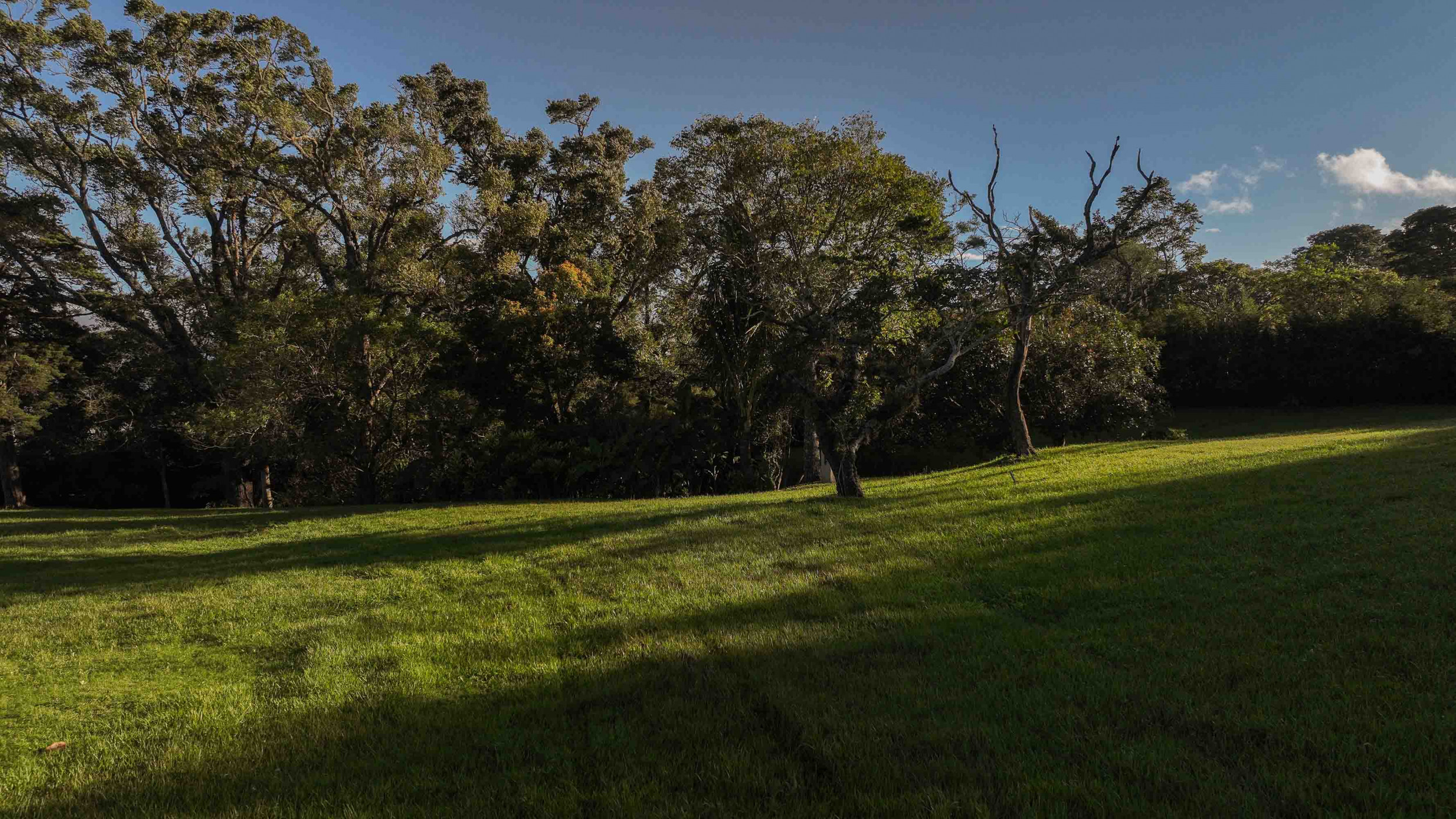 Exclusive 10.5-Hectare Development Parcel in Alto Las Palomas, Santa Ana – Unmatched Views & Privacy