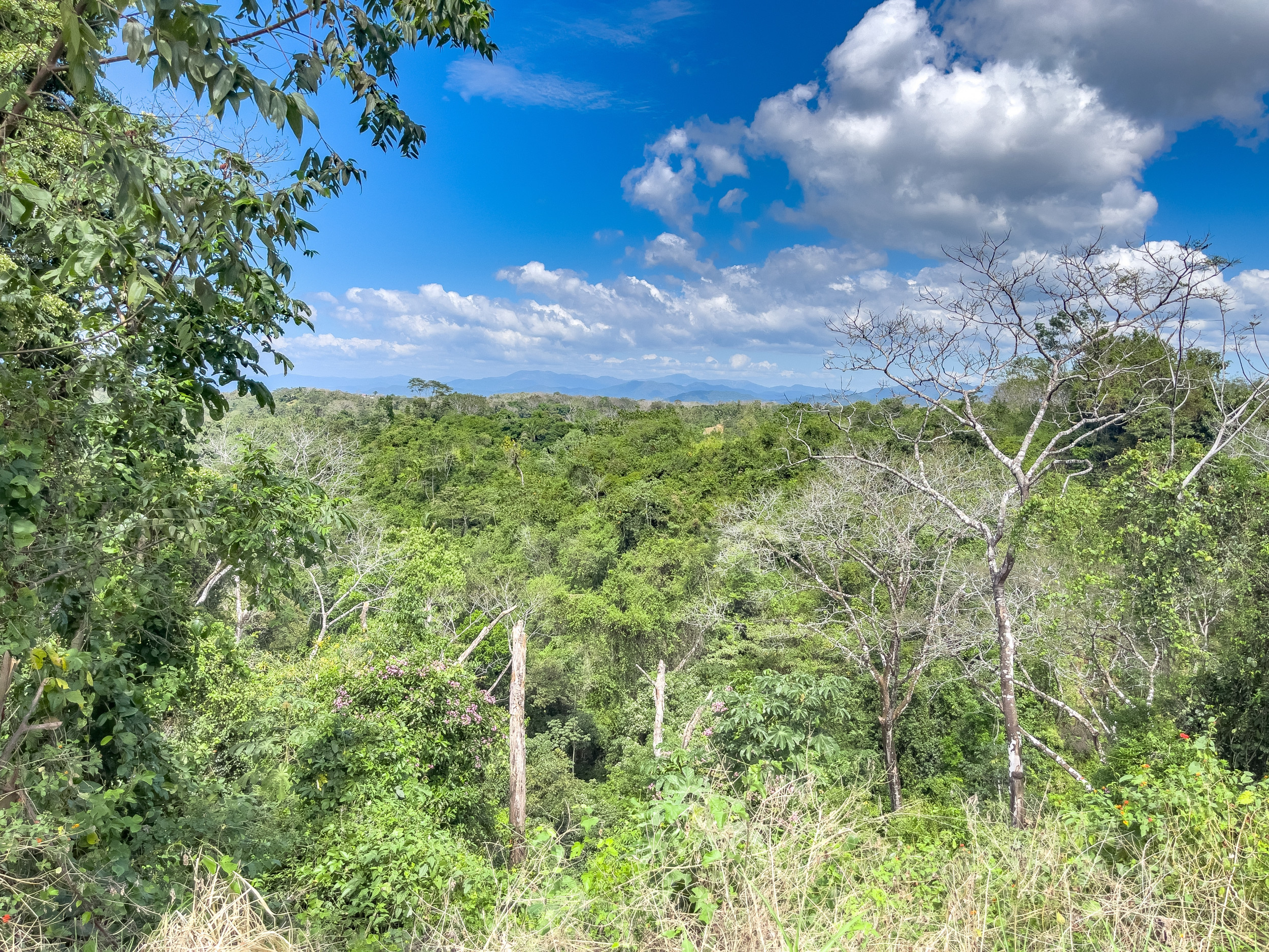 Exceptional Home with Ocean and Jungle Views – Just Minutes from Santa Teresa