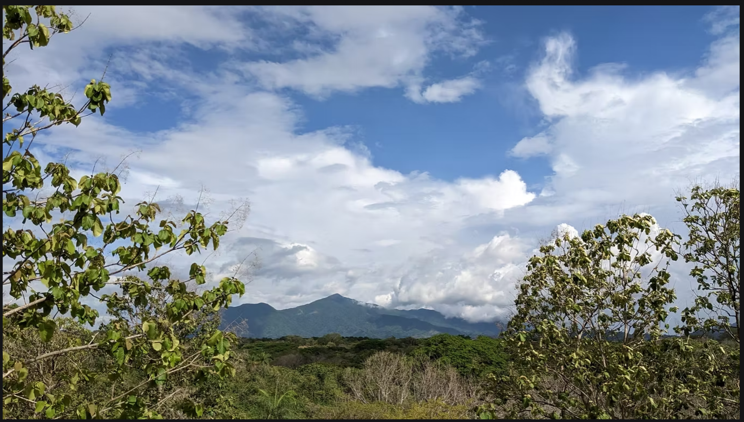 Tropical Villa with Views of Carara National Park