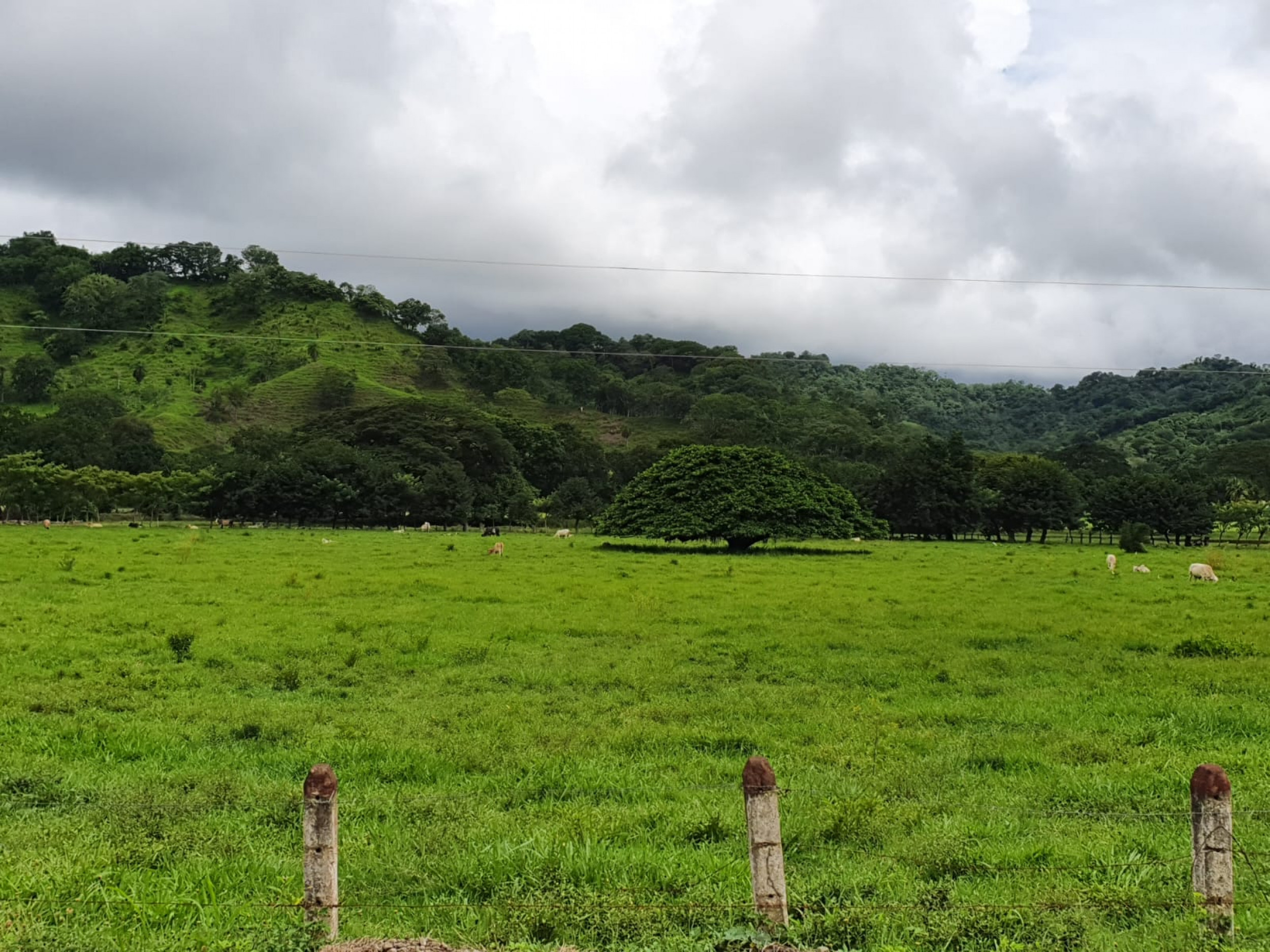 864 Acres in the Gulf of Nicoya Blue Zone – A Sanctuary of Nature and Tranquility