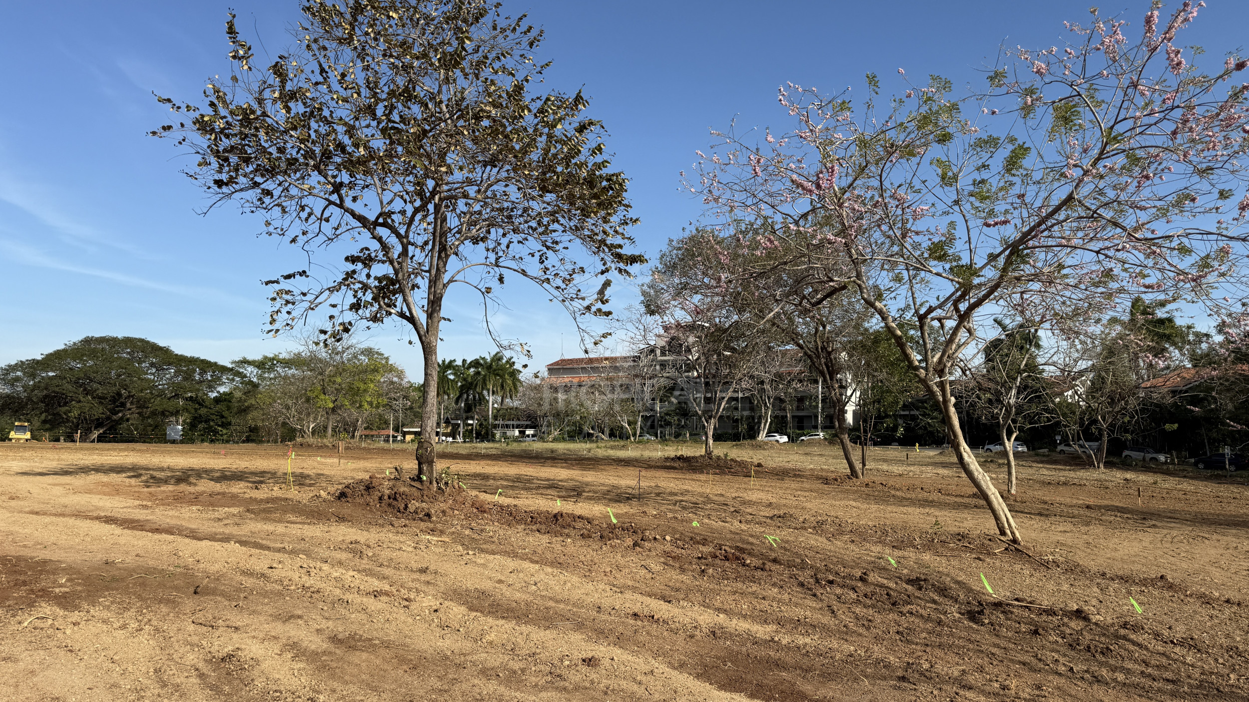 ULTIMATE OPPORTUNITY IN PLAYA LANGOSTA Tamarindo: Prime Ready-to-Build Lots Just Steps from the Ocean