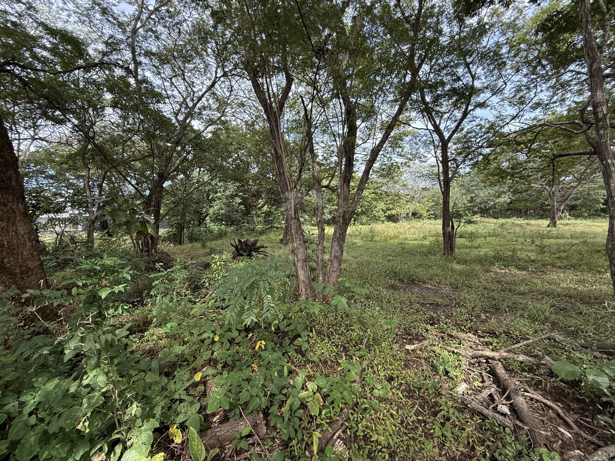 Villa Real Near Tamarindo – lot for sale