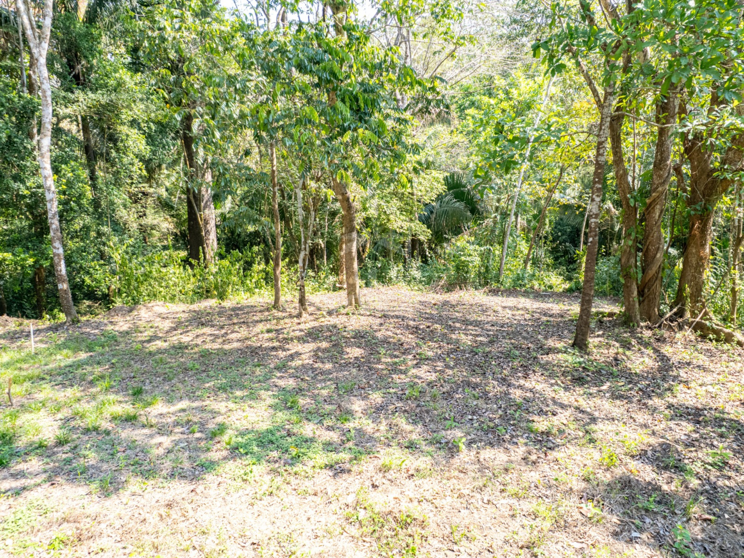 5,328 m² Lot in Santiago Surrounded by Nature – Minutes from Playa Hermosa & Santa Teresa