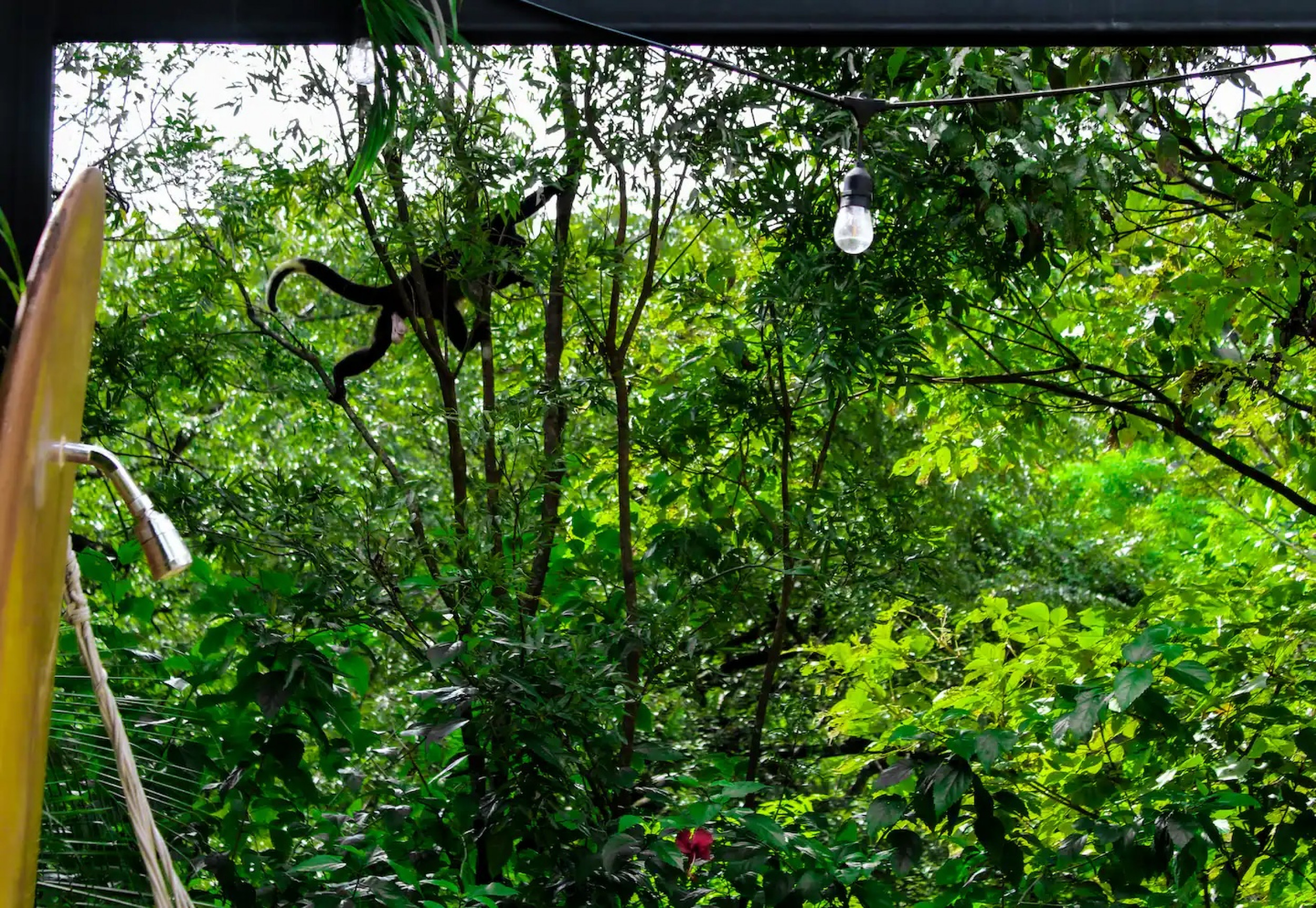For Sale in Guanacaste – Near Playa Blanca, Junquillal & Callejones SOLD