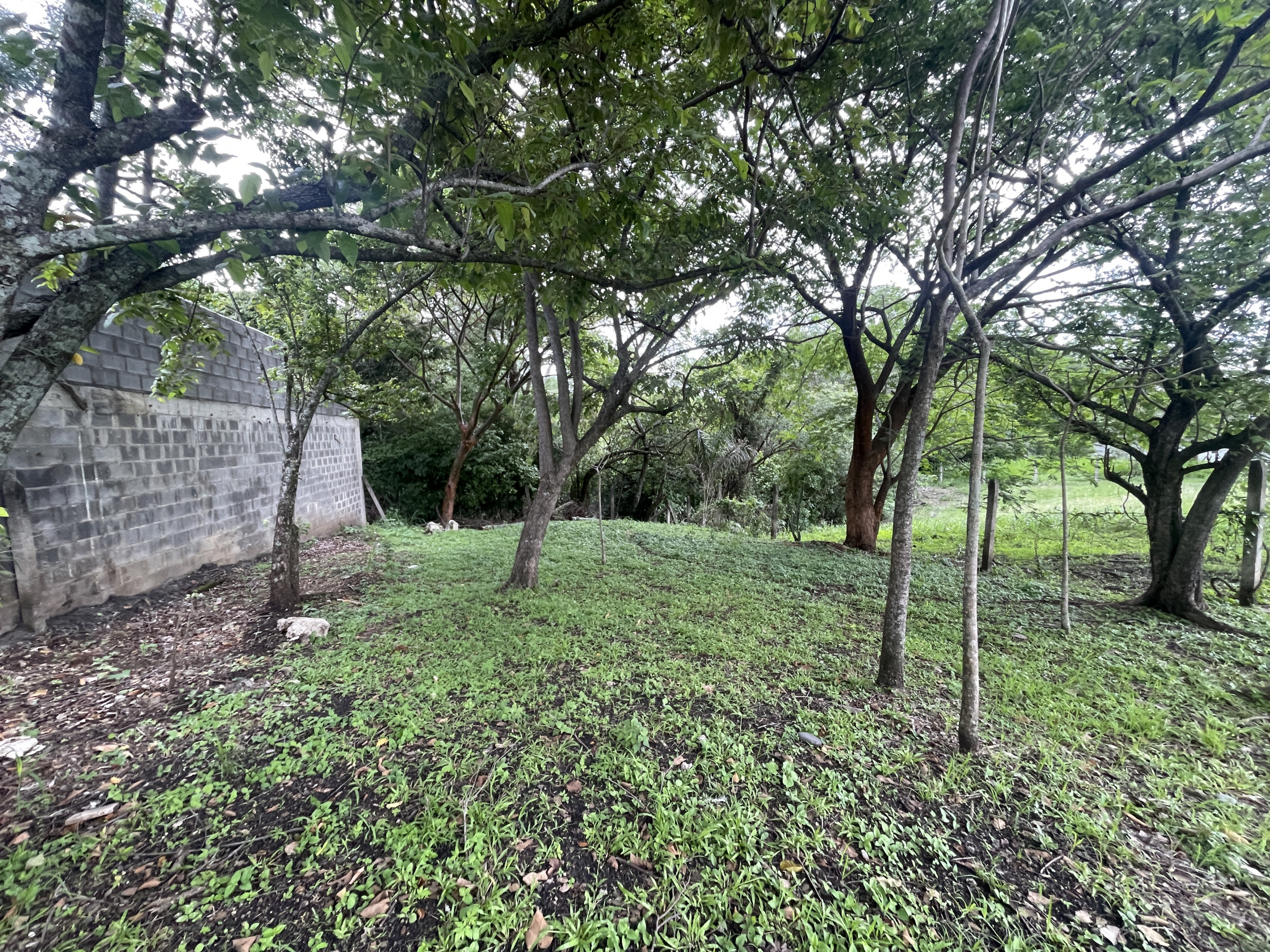 Prime Land for Sale in Santa Ana: Build Your Dream Residence in a High-Value Residential Area