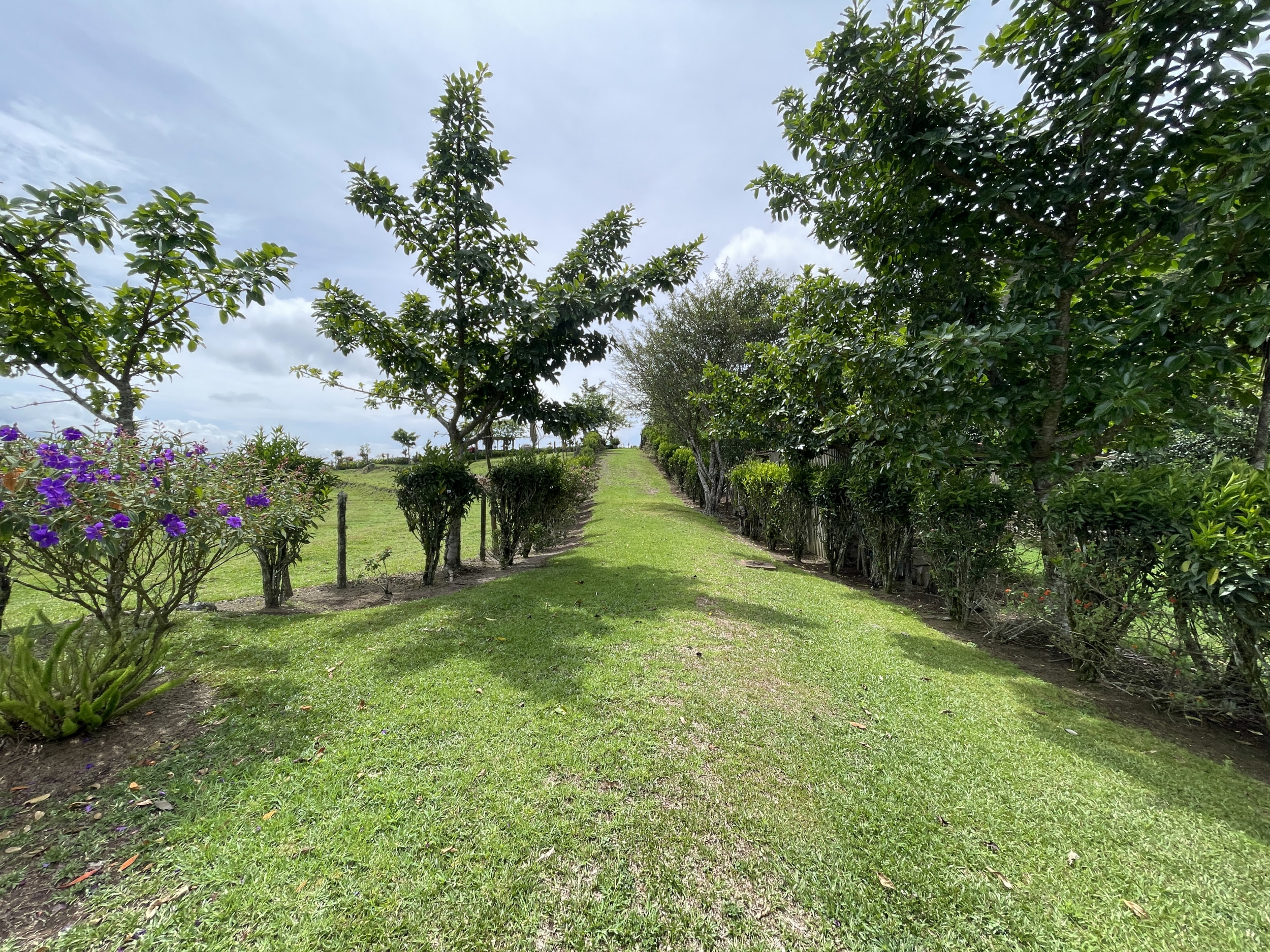 Charming Coffee Retreat Home with Stunning Views and Gourmet Coffee Plantations