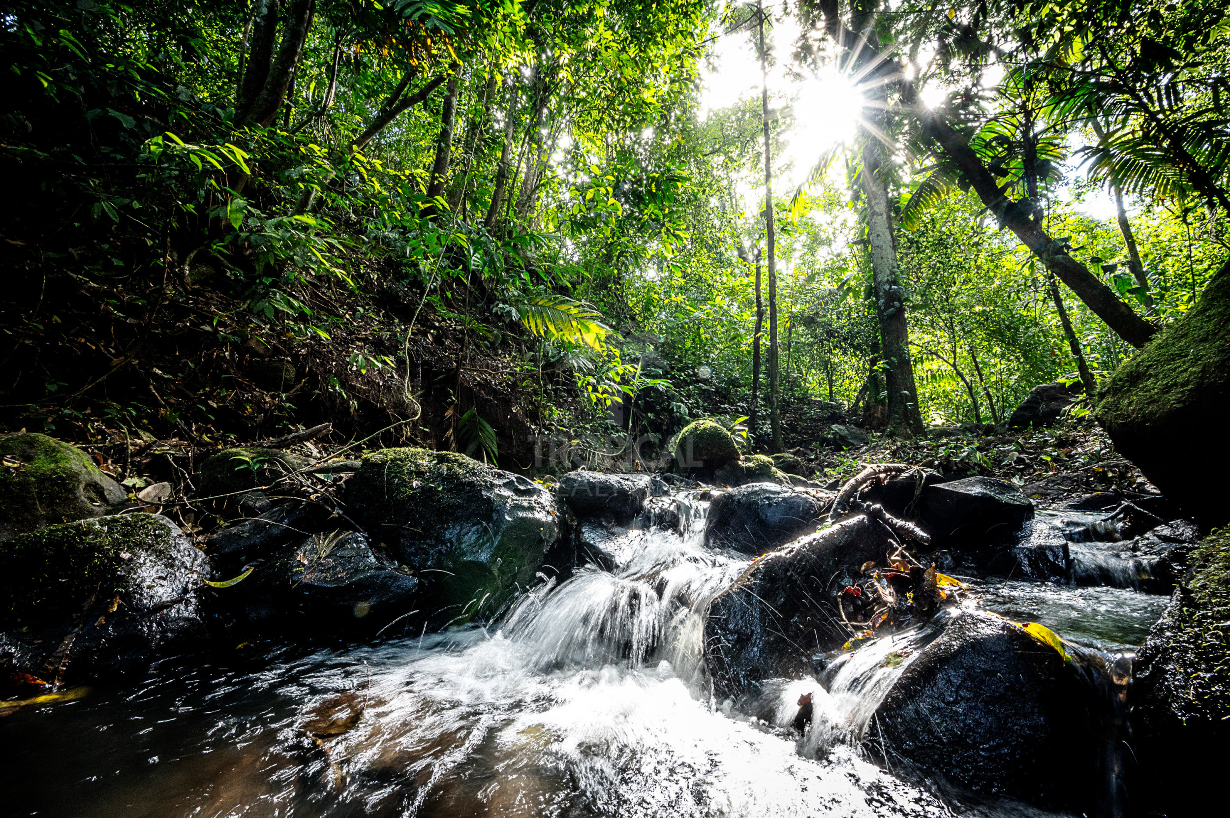 Exclusive Estate with Lake & Arenal Volcano Views – UNDER CONTRACT