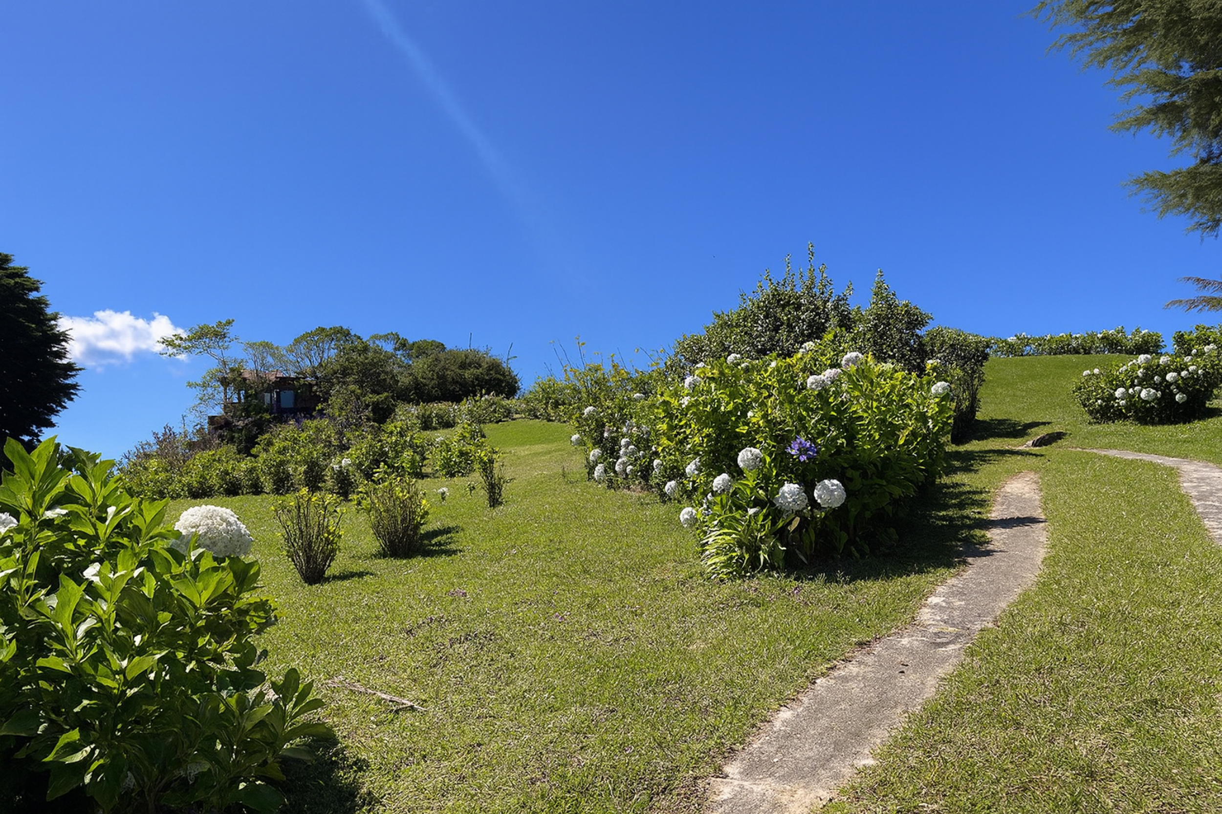 Serenity and Views: Enchanting Cottage in Poasito, Alajuela, Surrounded by Nature's Beauty