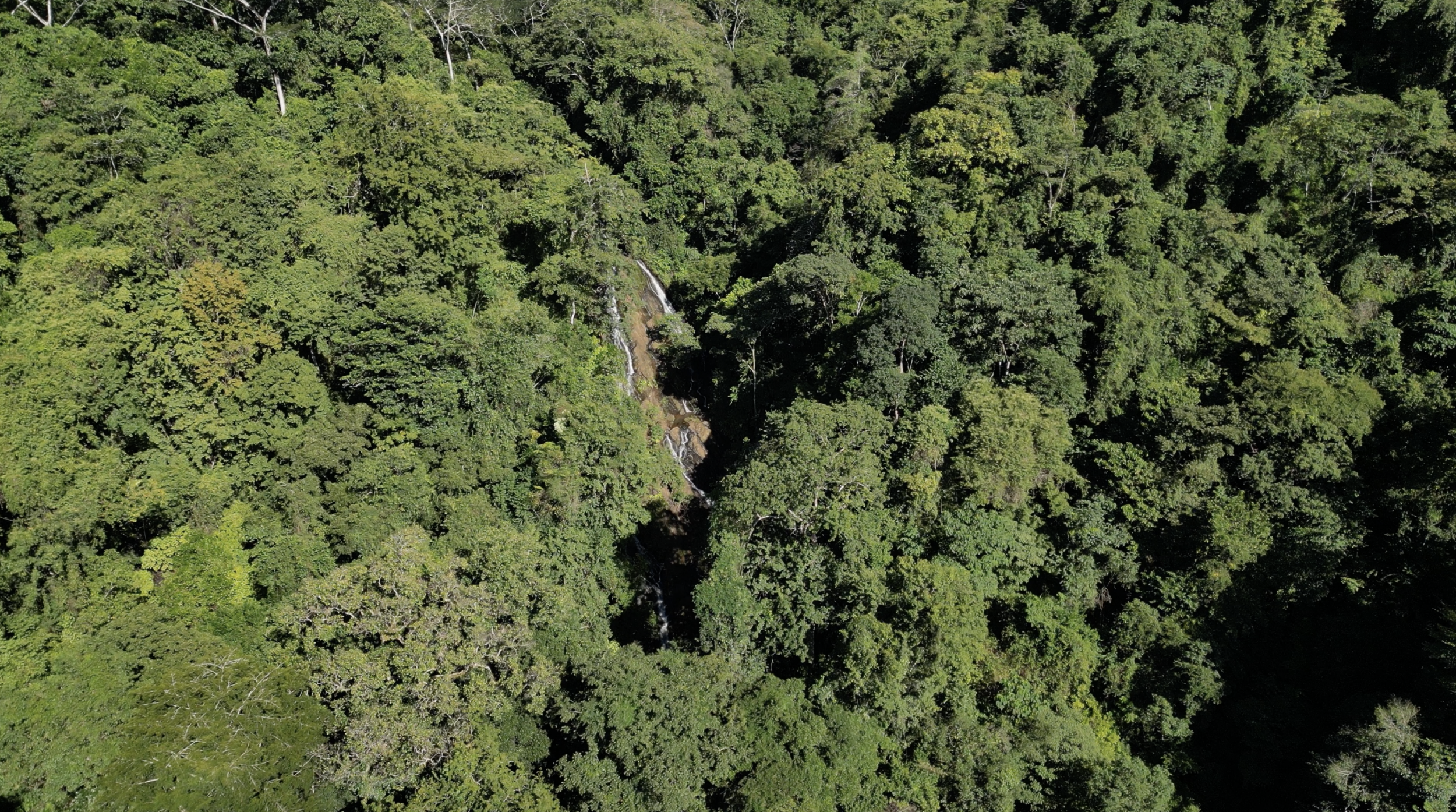 Spectacular Farm for Sale in Cobano, Puntarenas: Ocean Views to Santa Teresa, Lush Nature, and Included Waterfall