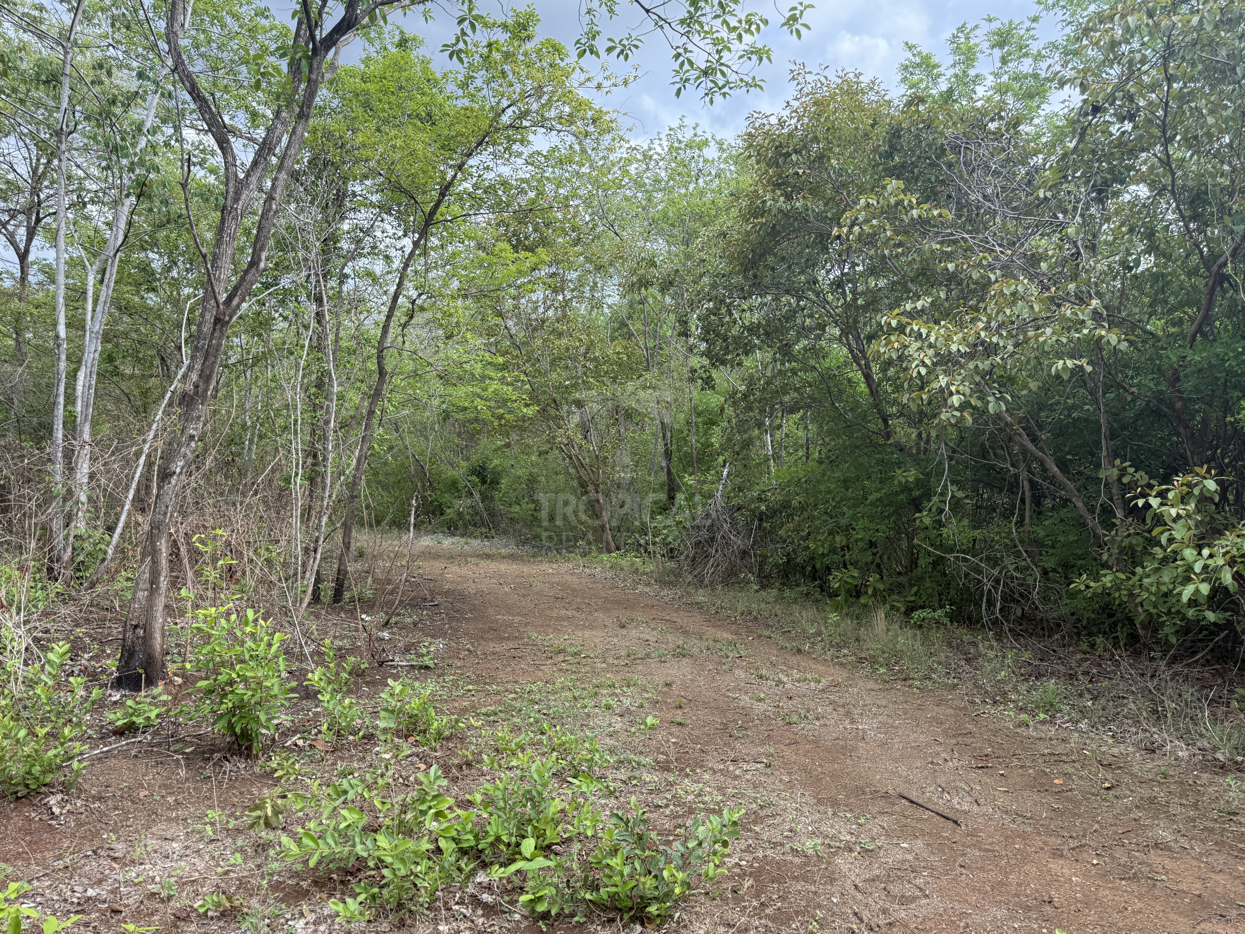 939 Acres Between Playa Flamingo & Tamarindo | Ocean Views | 7 Registered Water Wells