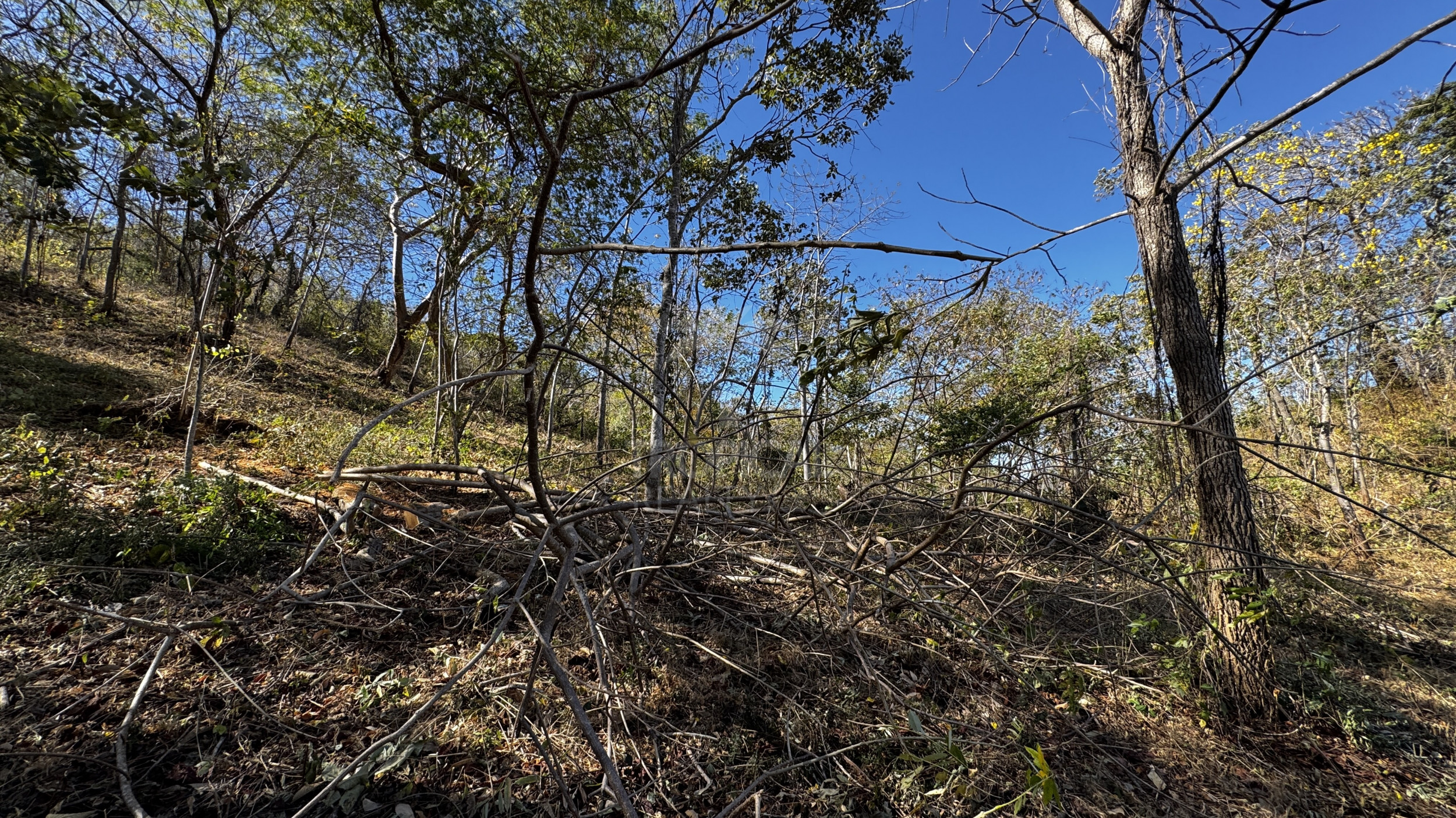 Beach land Parcels from 10,000 m² for $65,000 – Premium Property Near Coco and Rio Hotel, close to Papagayo, Guanacaste