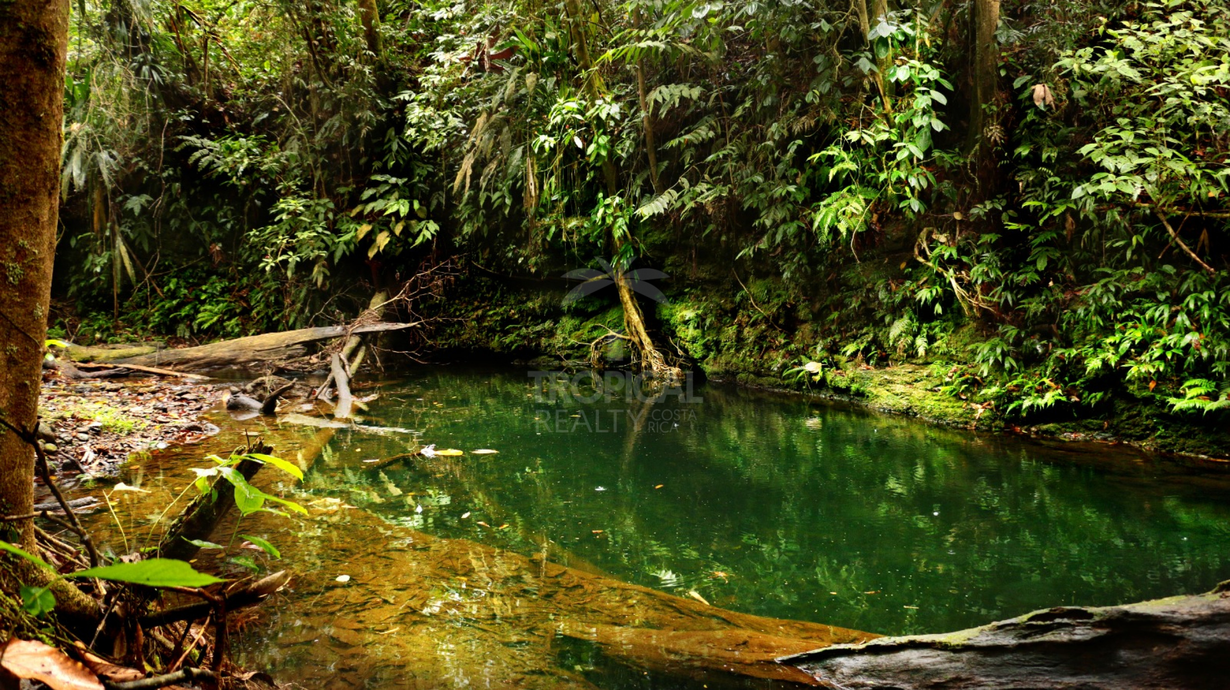 For Sale: Nature Lover’s Paradise in Sarapiquí – 24.7 Acres with Two Rivers | Bijagual, Heredia