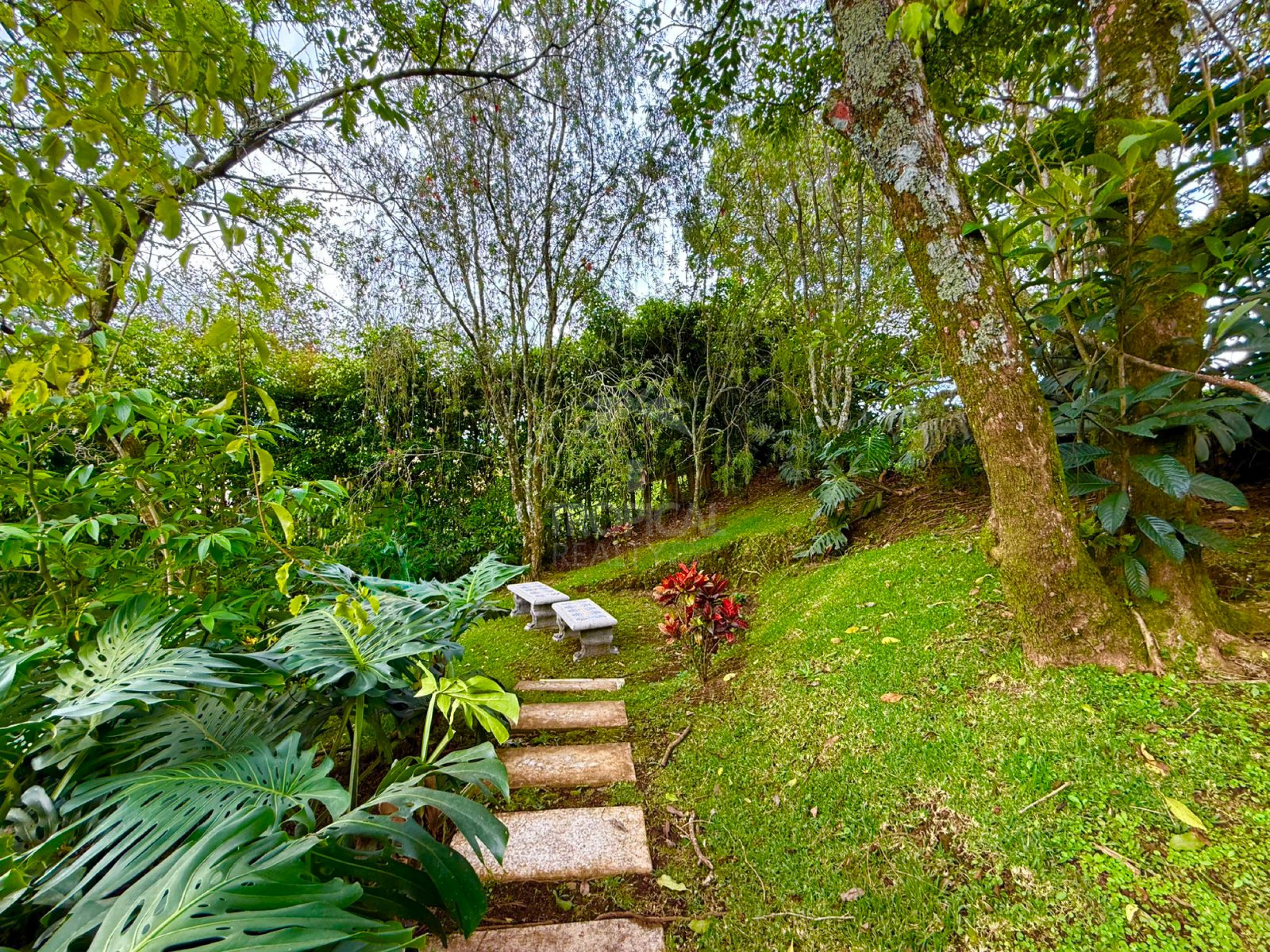 Luxury Single-Story Home in Monterán, Curridabat – 4 Bedrooms, Jacuzzi & 2,800 m² Lot