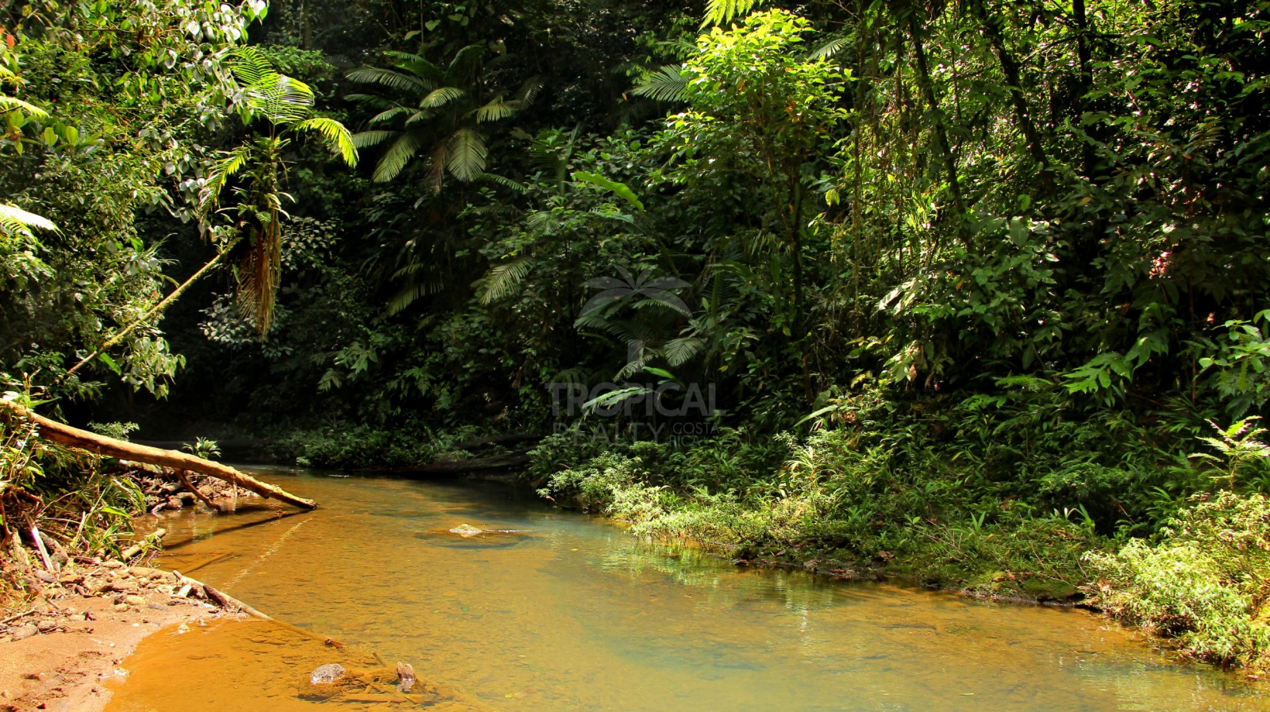 For Sale: Nature Lover’s Paradise in Sarapiquí – 24.7 Acres with Two Rivers | Bijagual, Heredia
