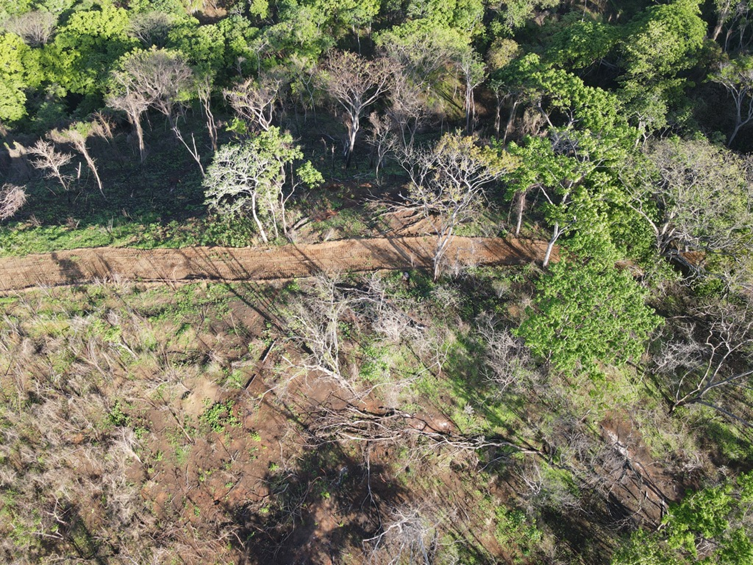Natural Sanctuary for Sale Near Playa Negra – Two Titled Lots in Guanacaste