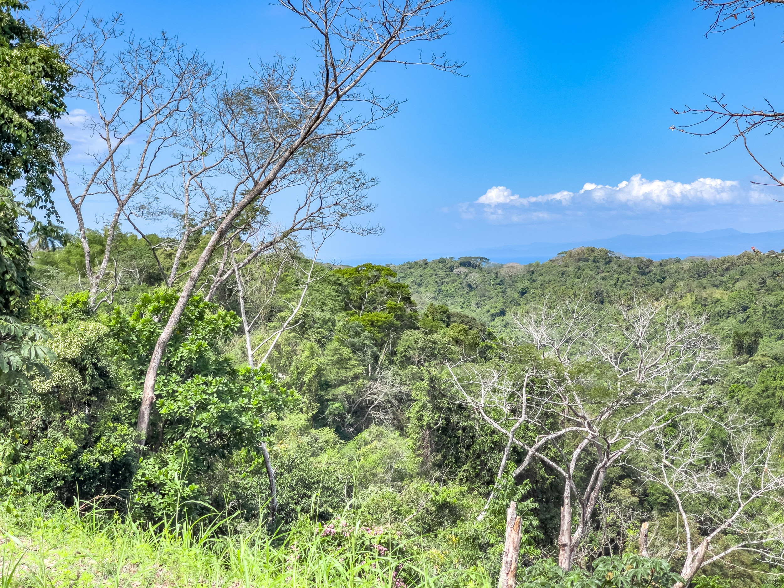 Exceptional Home with Ocean and Jungle Views – Just Minutes from Santa Teresa