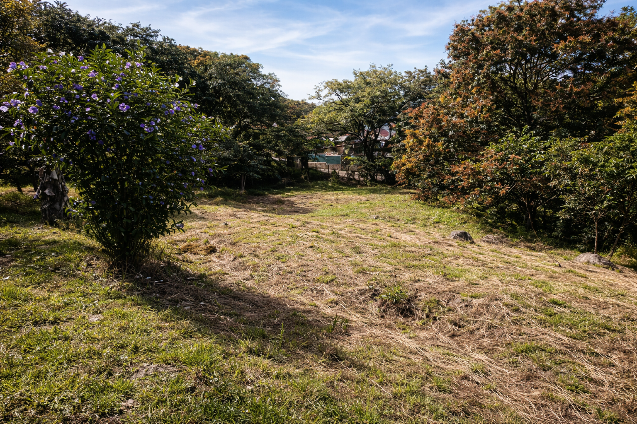 Development Land for Sale in La Garita – 37,000 m² with Commercial & Tourism Zoning