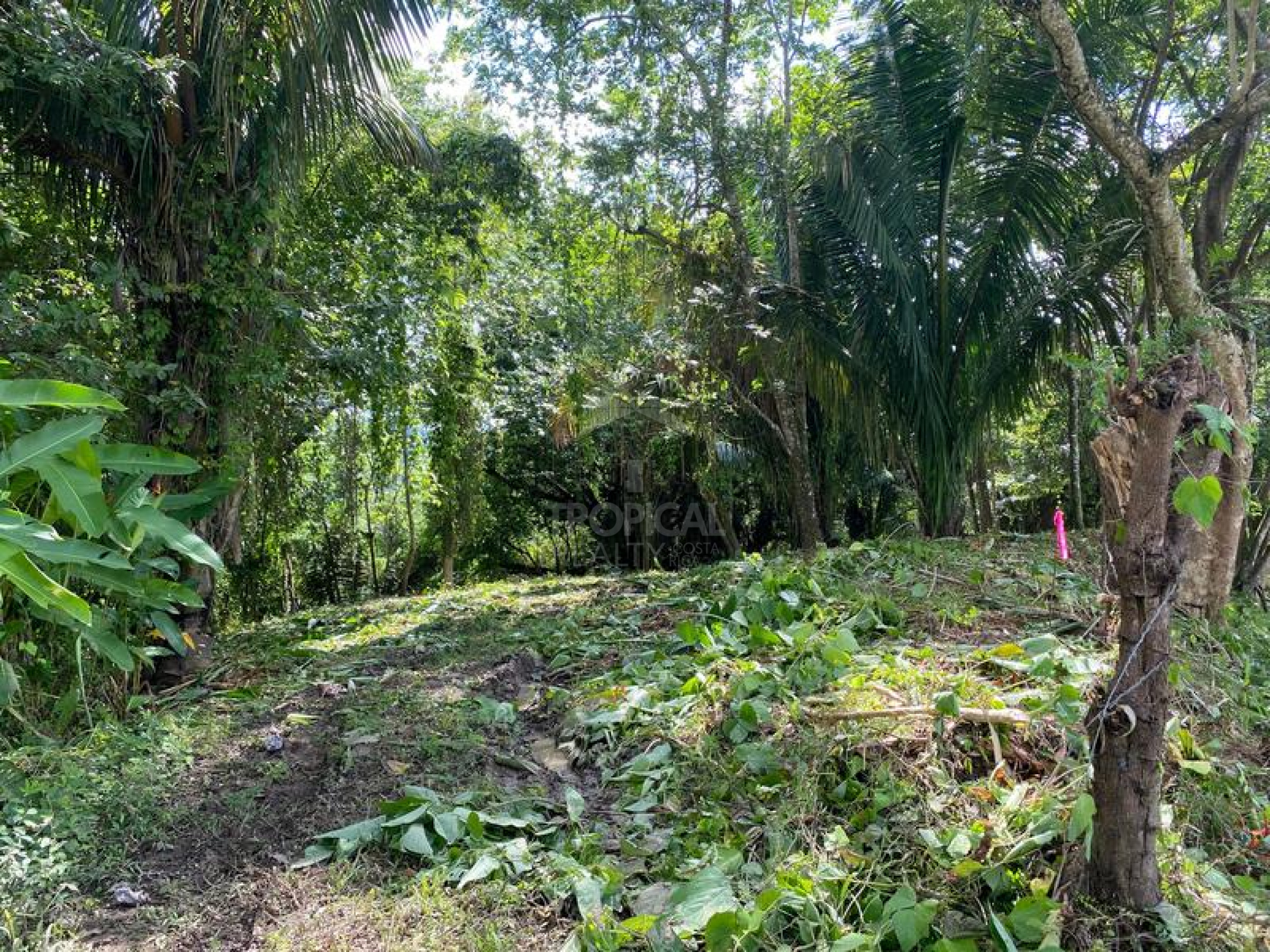 Strategic Commercial Lot in Cabuya – High Visibility and Outstanding Development Potential