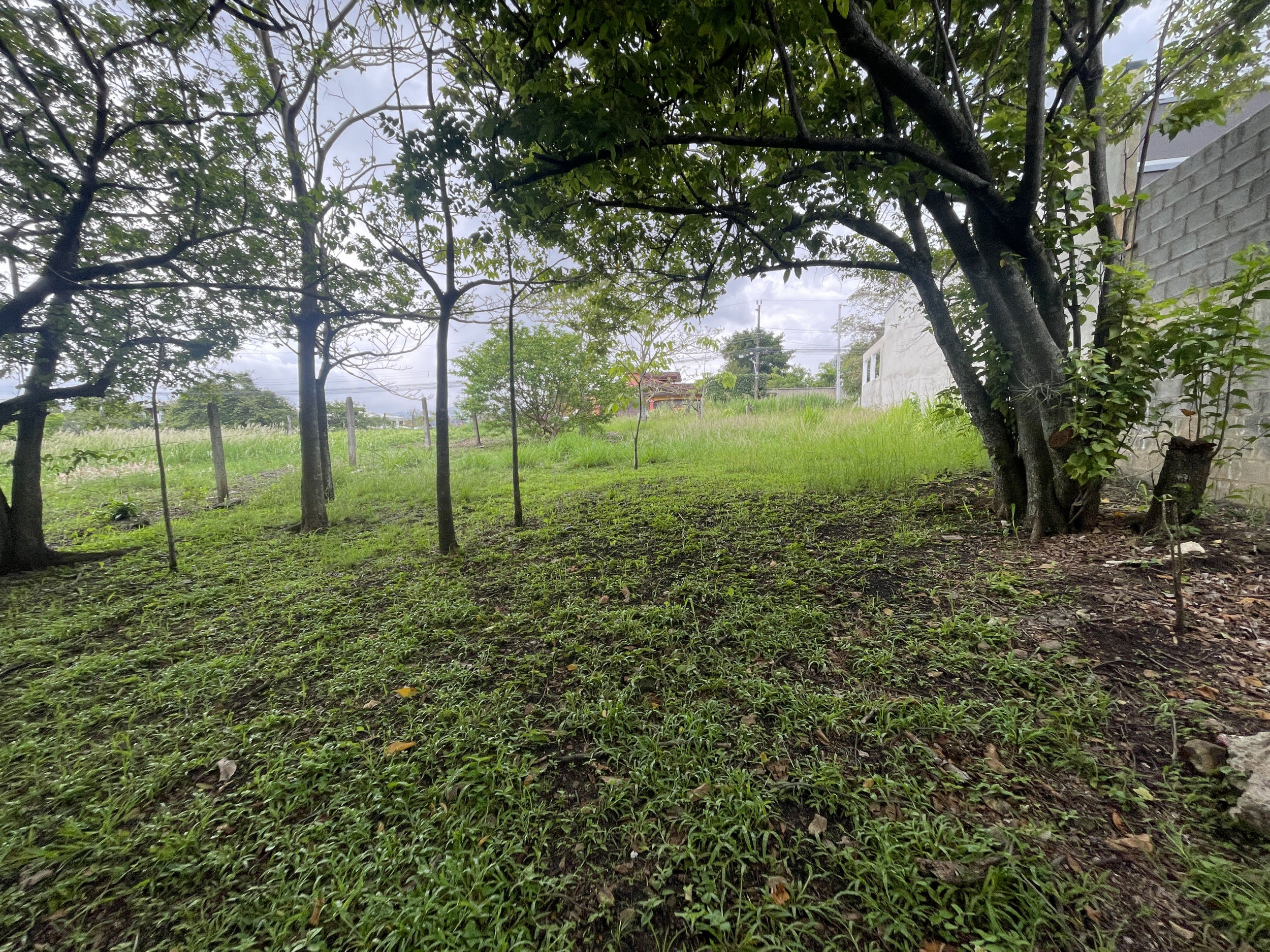 Prime Residential Opportunity: Exclusive 650 m² Land for Sale in Santa Ana