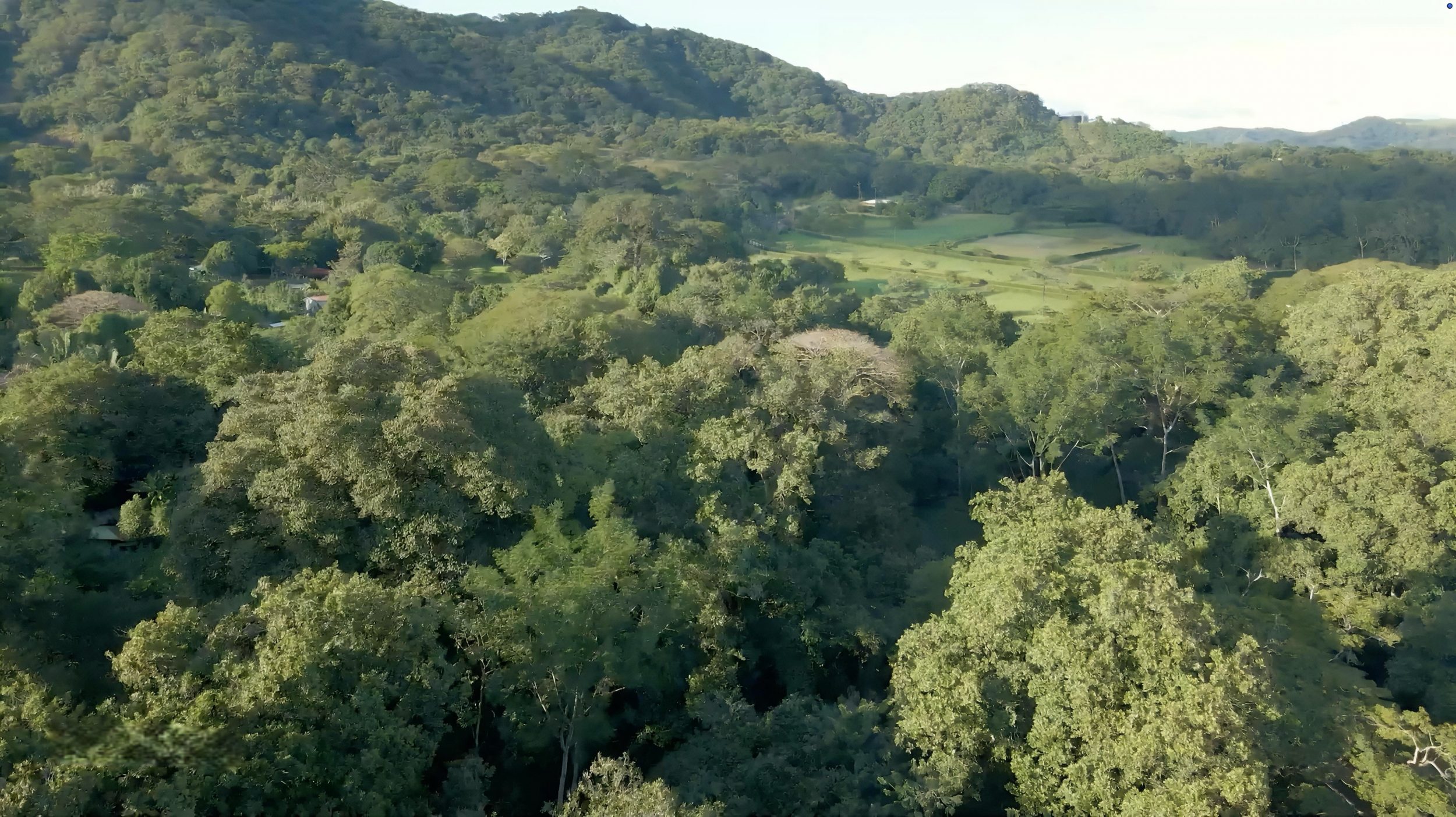 4.5-Hectare (11.27-Acre) Land for Sale in Curime, Nicoya | Rivers, Main Road Frontage & Blue Zone Living