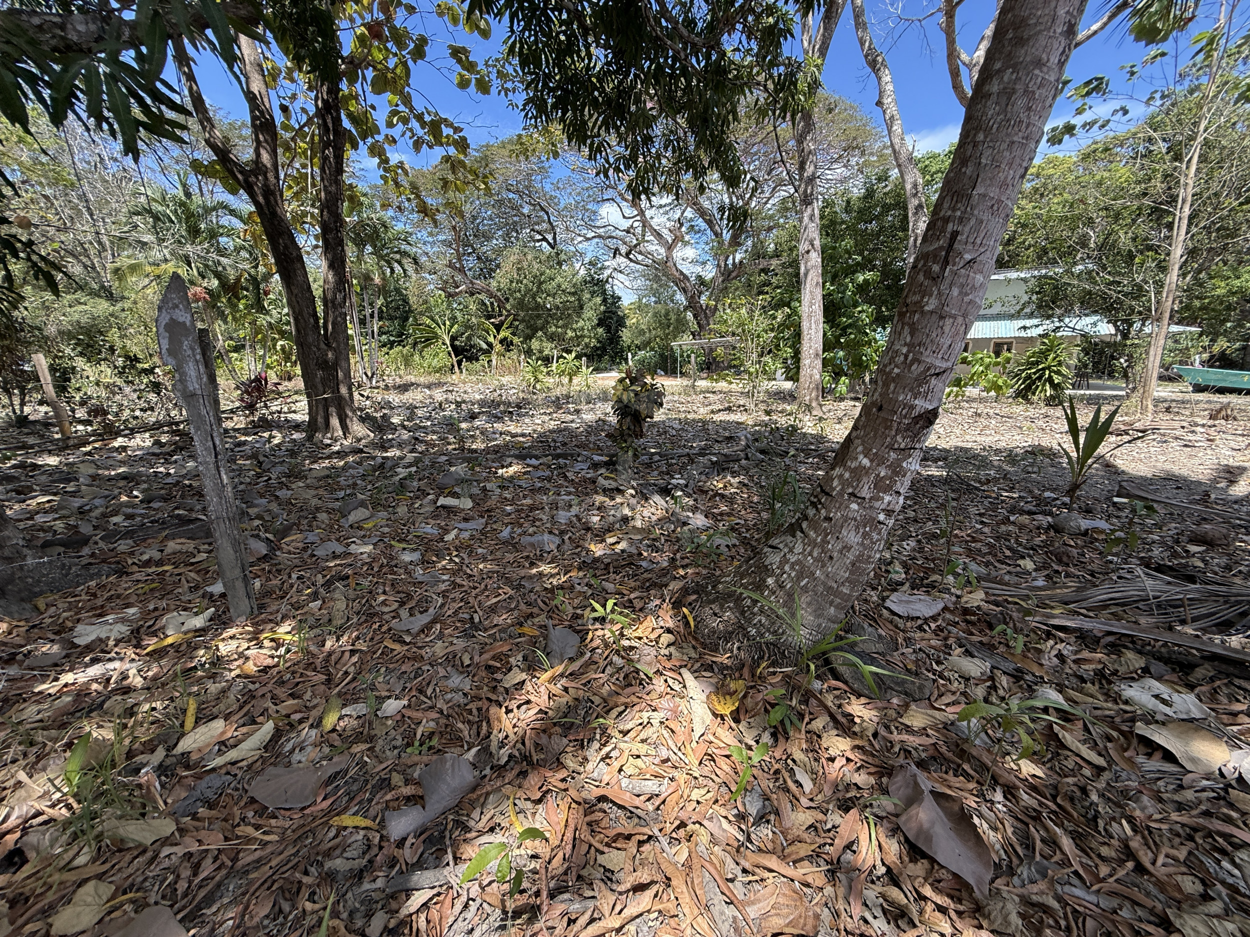 Beachfront Land for Sale, Cabuya | Concessioned Lot Nicoya Peninsula