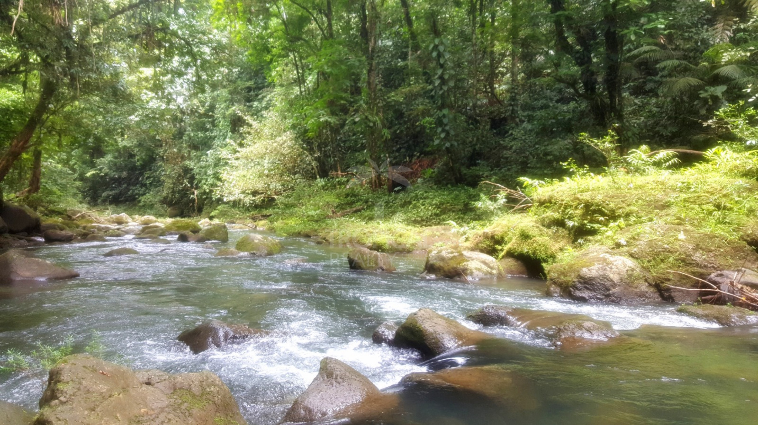 For Sale: Nature Lover’s Paradise in Sarapiquí – 24.7 Acres with Two Rivers | Bijagual, Heredia