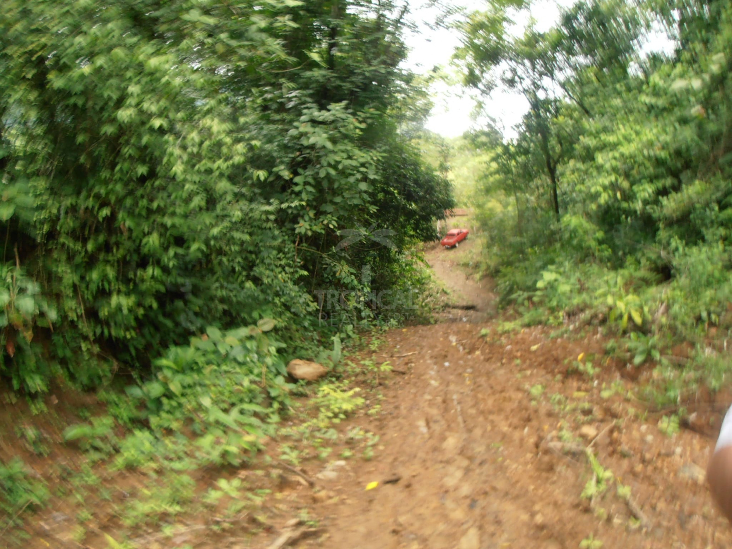 210-Hectare Farm for Sale in Tulín, Puriscal | 519 acres