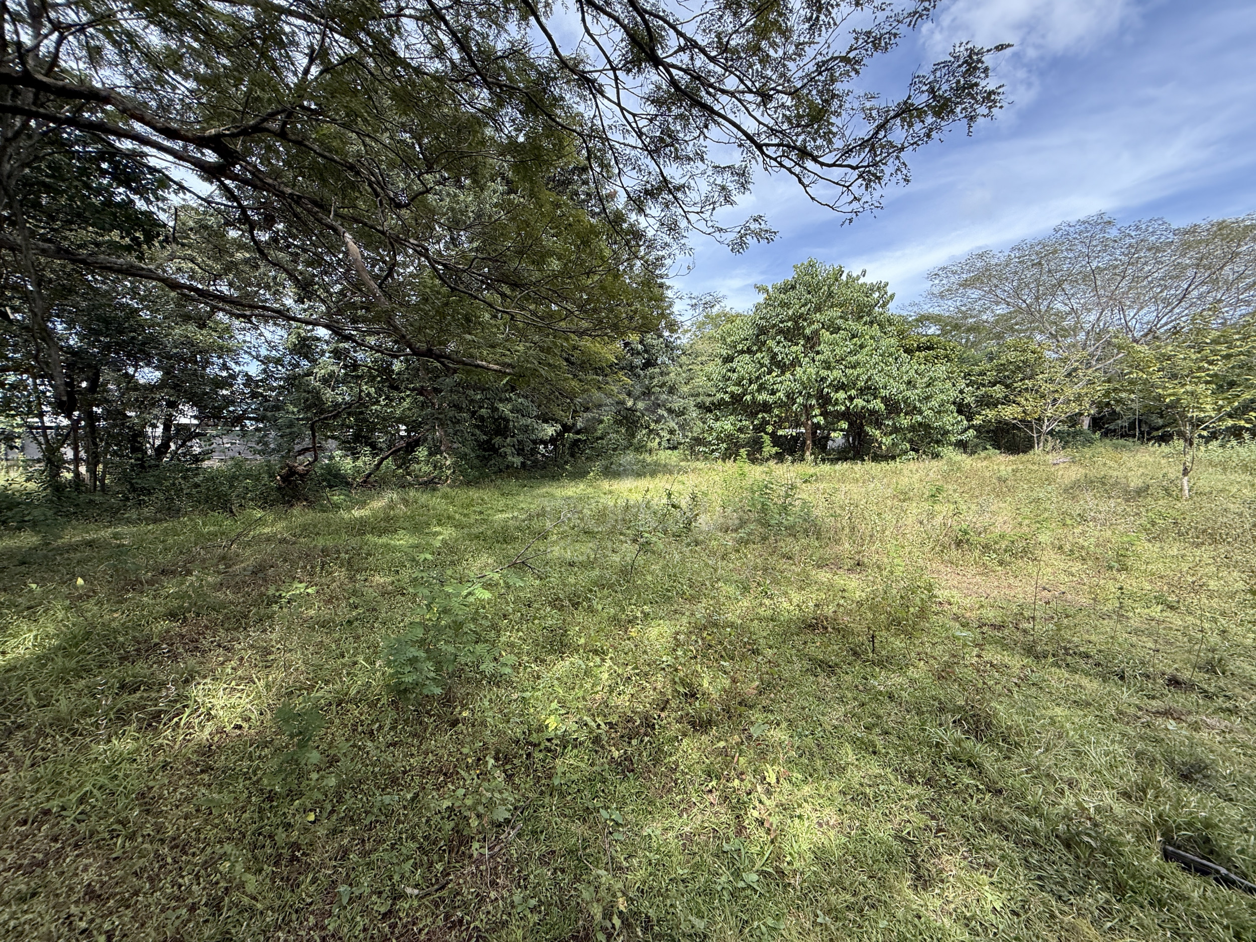 Commercial Lots - Villa Real Near Tamarindo – Main Road Frontage