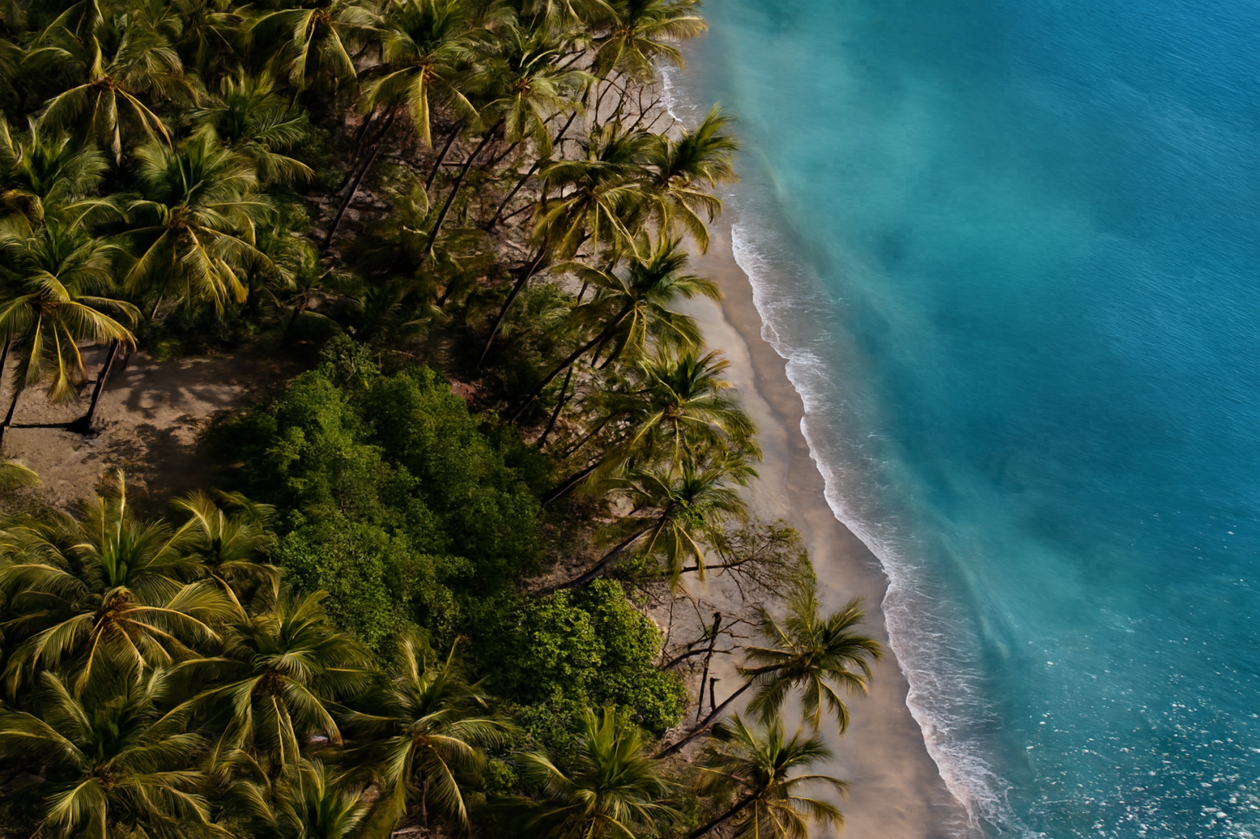 Beachfront Land for Sale, Cabuya | Concessioned Lot Nicoya Peninsula