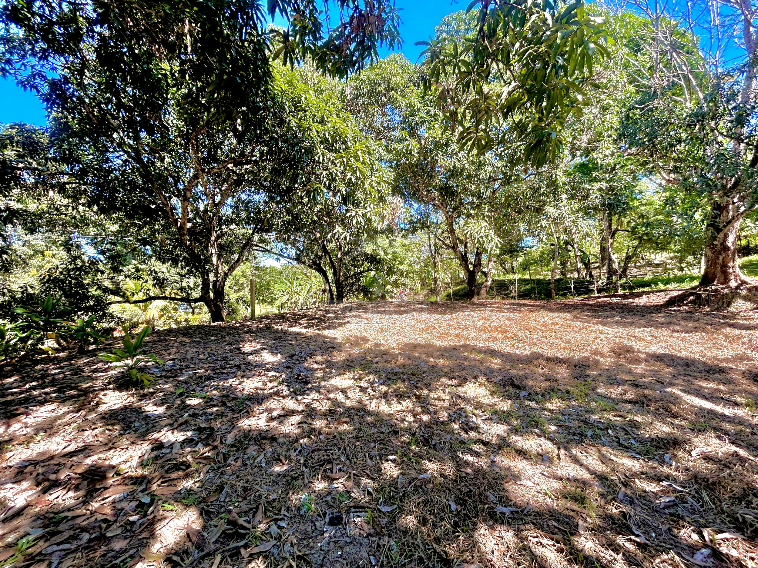 Commercial Mixed-Use Lot for Sale – Prime Location near Manzanillo Beach