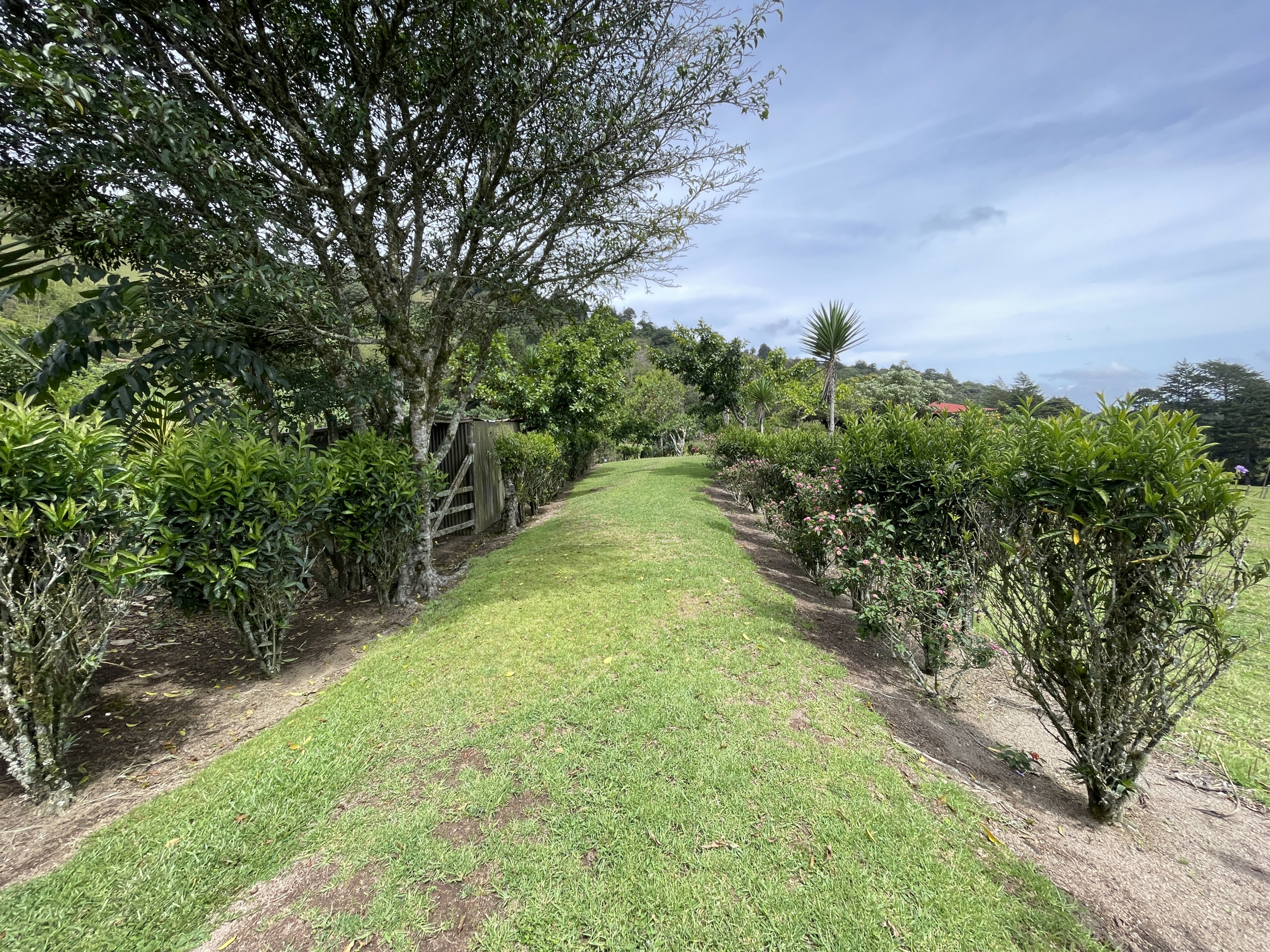 Charming Coffee Retreat Home with Stunning Views and Gourmet Coffee Plantations